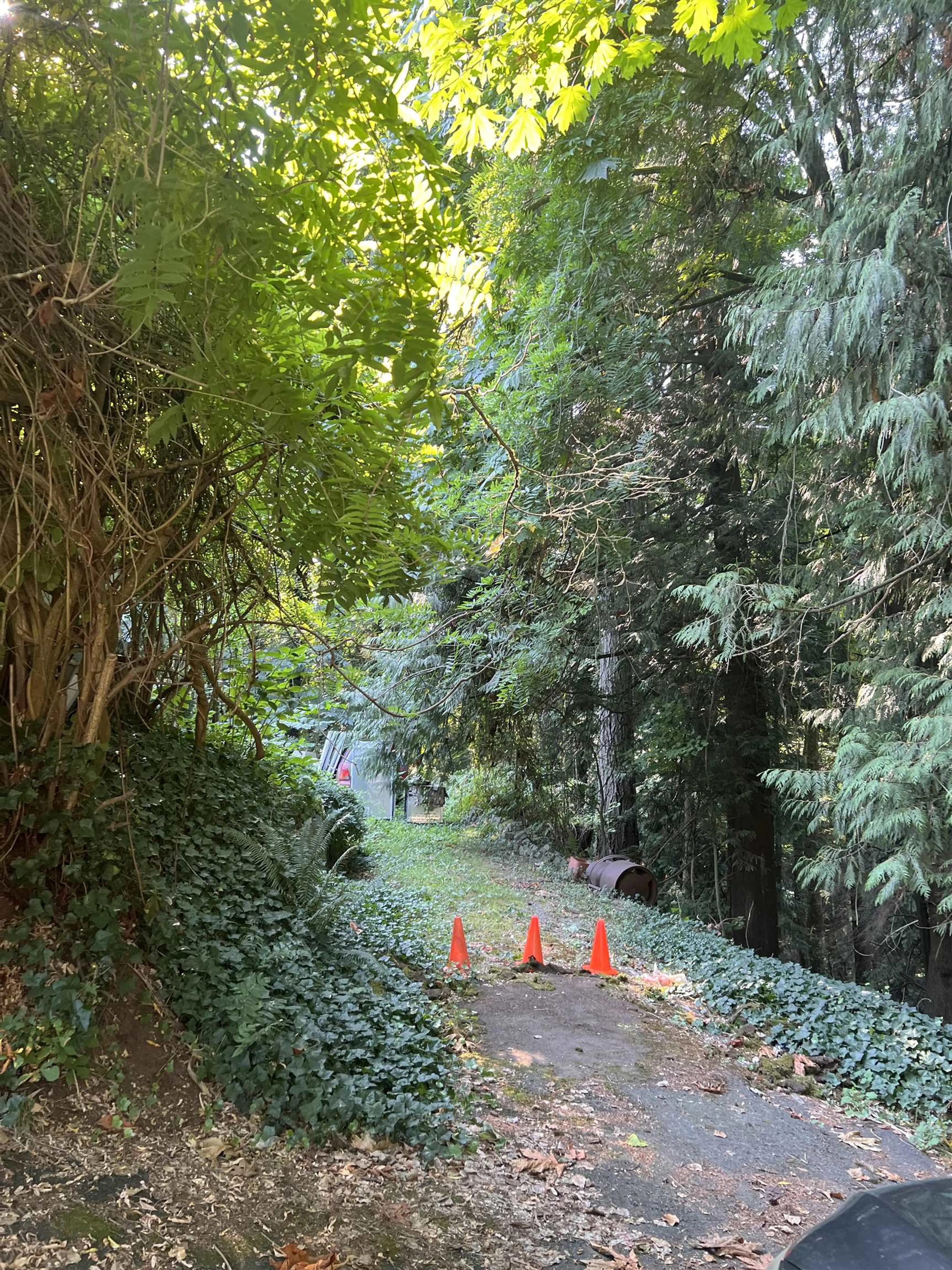 Property at 1320 AUSTIN AVENUE, Coquitlam, BC