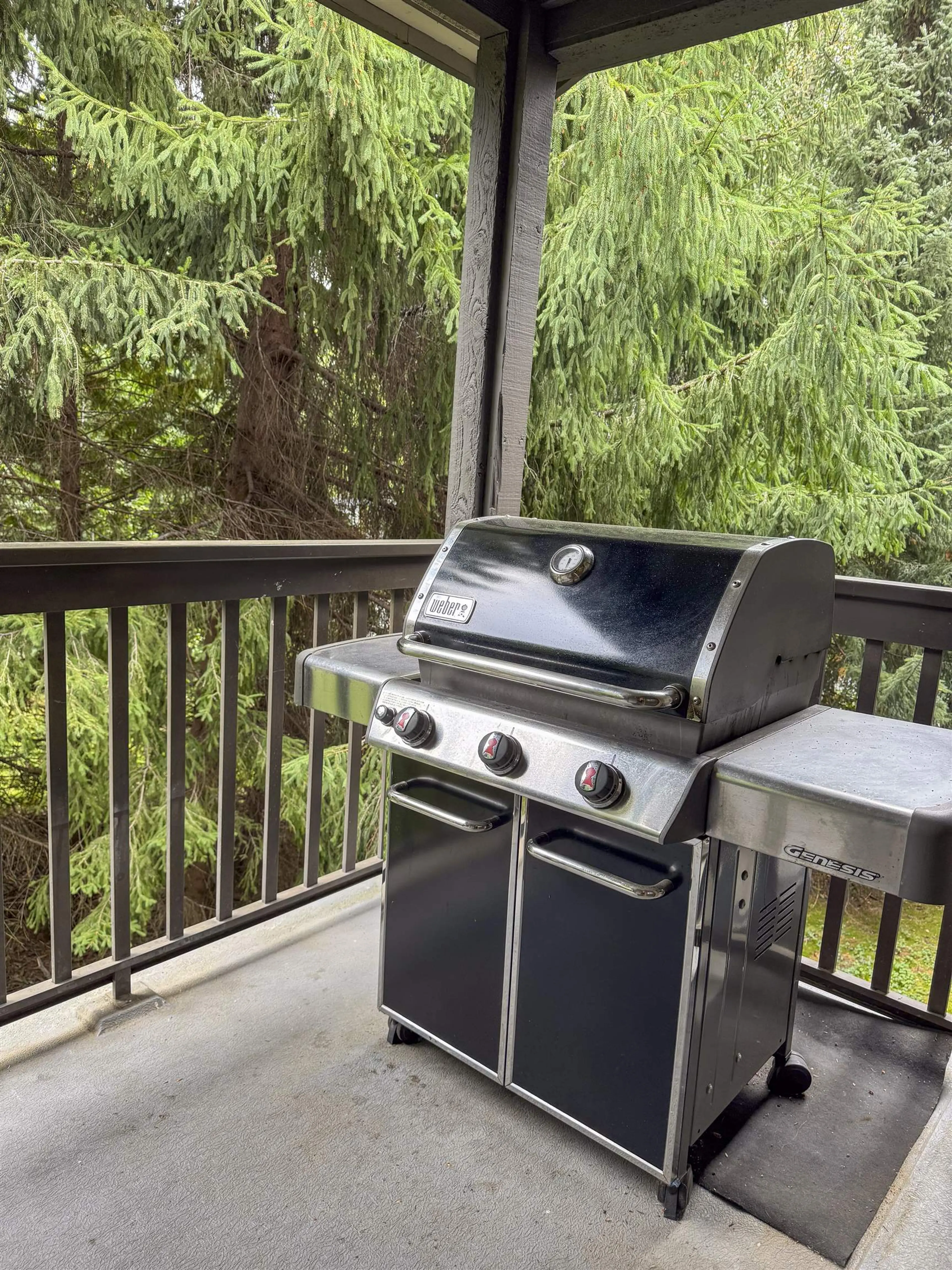 Property at #88 4355 NORTHLANDS BOULEVARD, Whistler, BC