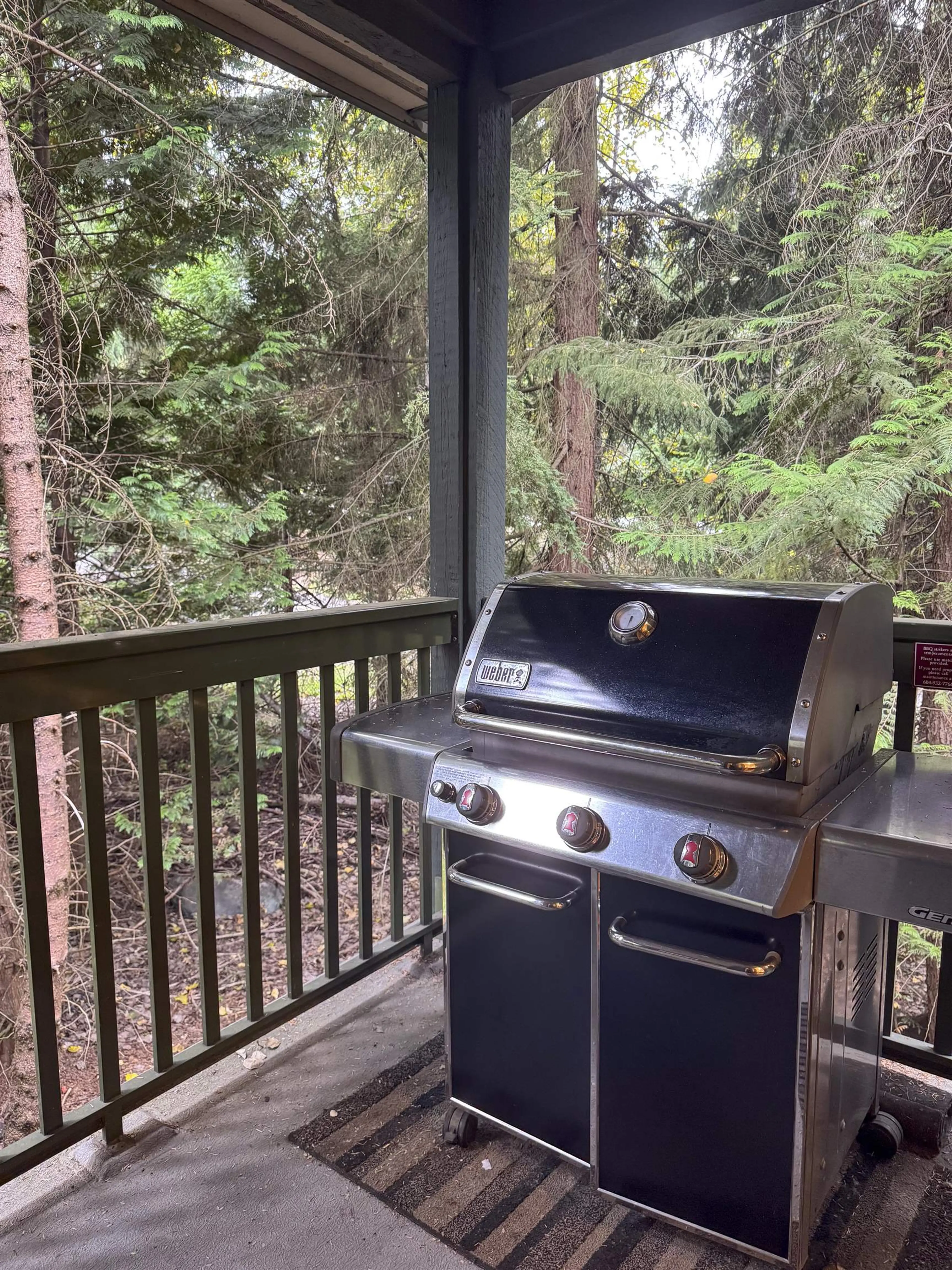 Property at #46 4355 NORTHLANDS (WEEK 9) BOULEVARD, Whistler, BC