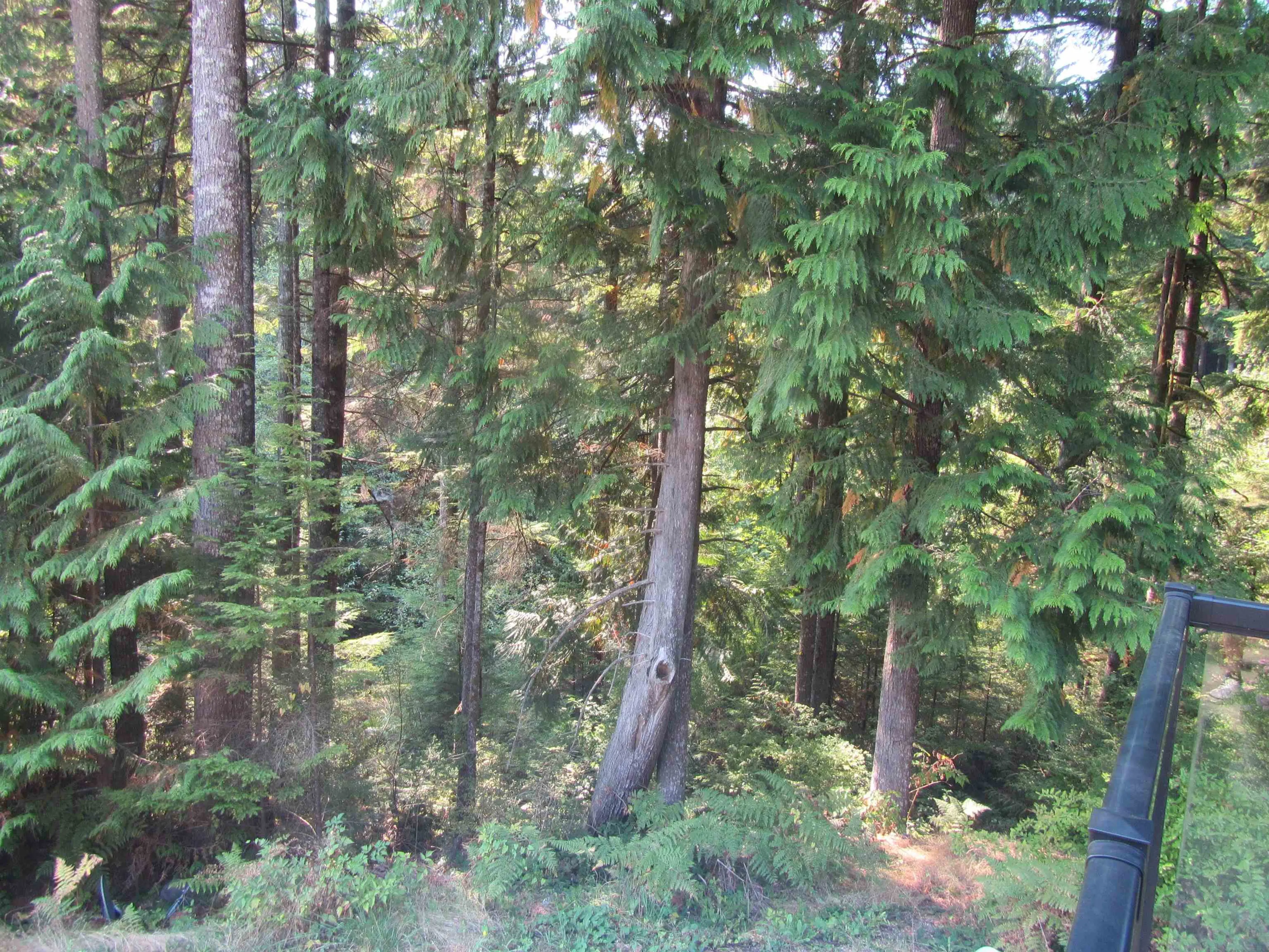 Property at 12293 CARDINAL STREET, Mission, BC