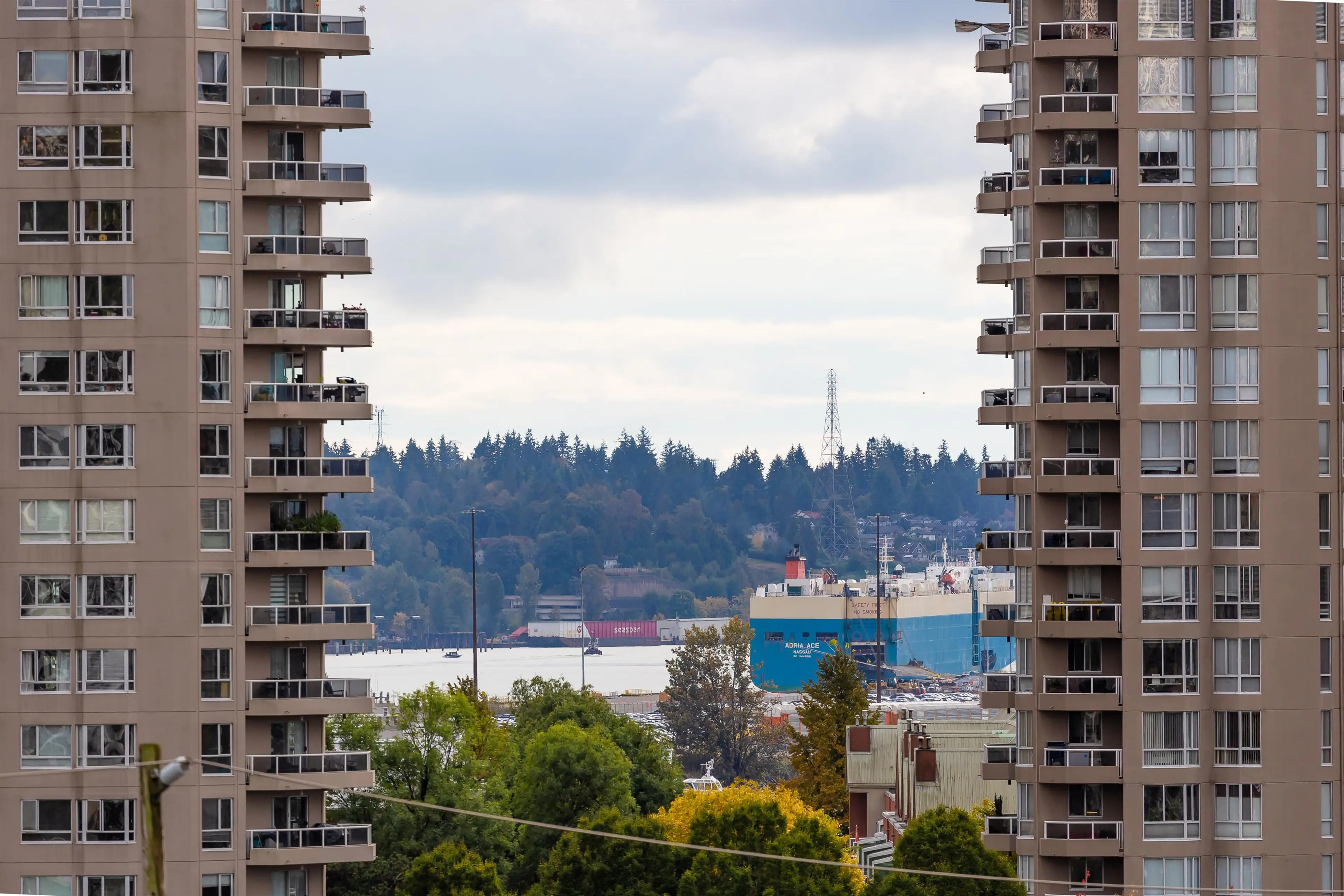 Property at 1011 AUCKLAND STREET, New Westminster, BC