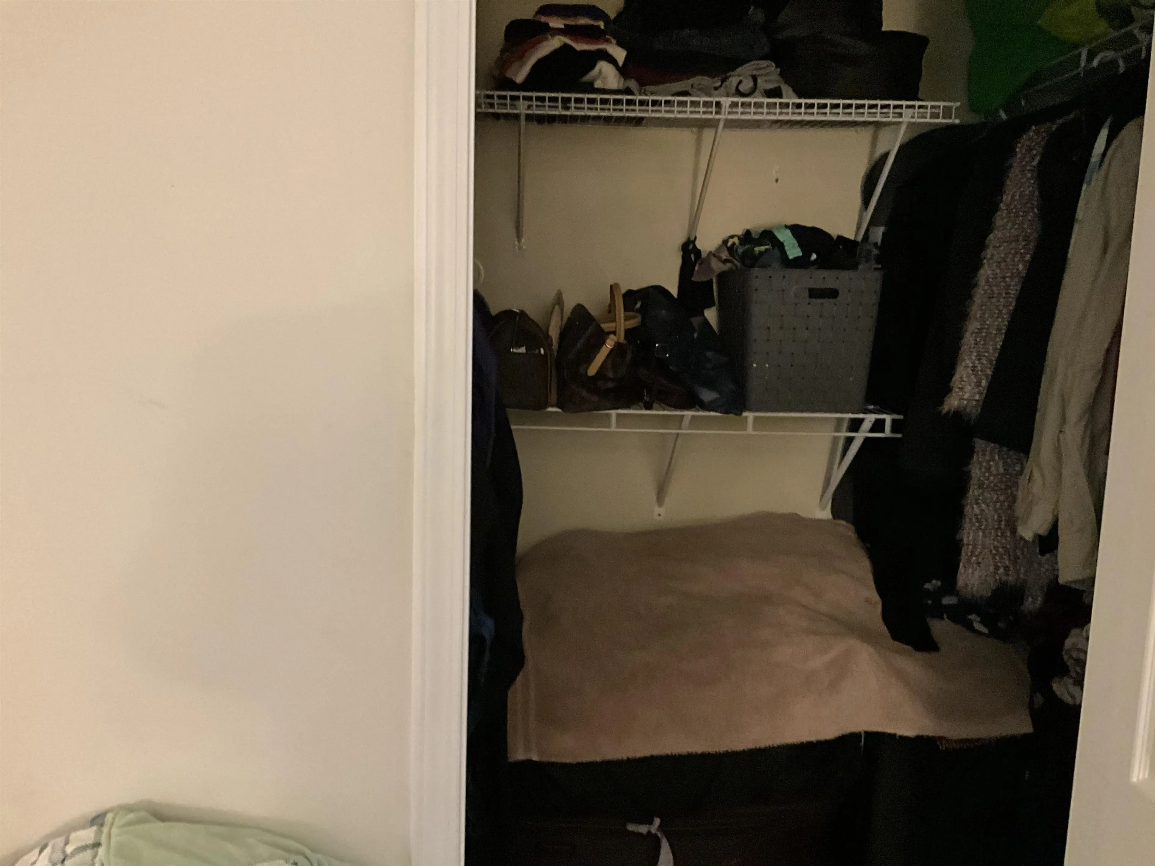 Property at #201 12088 66 AVENUE, Surrey, BC