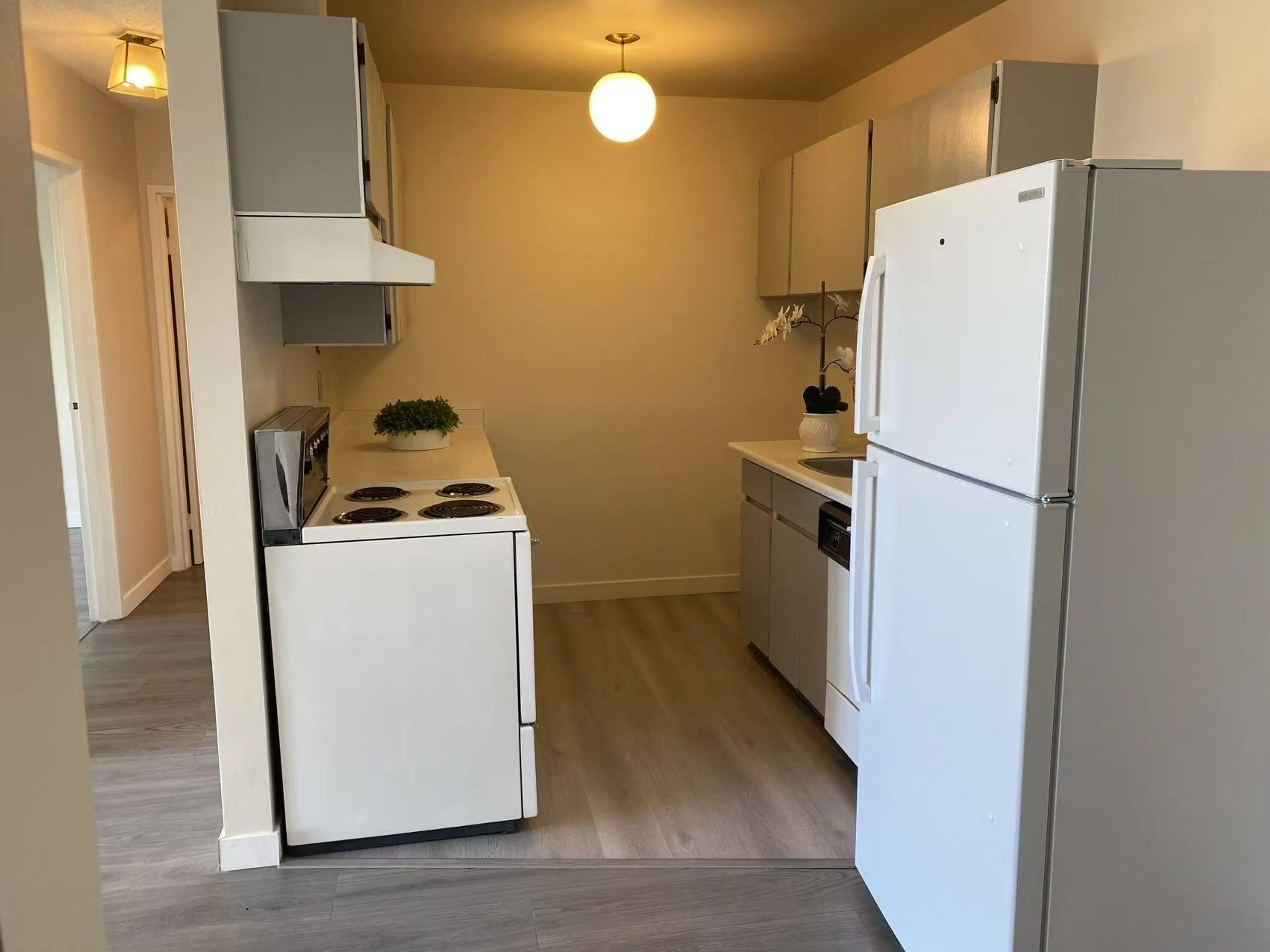 Property at #308 7280 LINDSAY ROAD, Richmond, BC