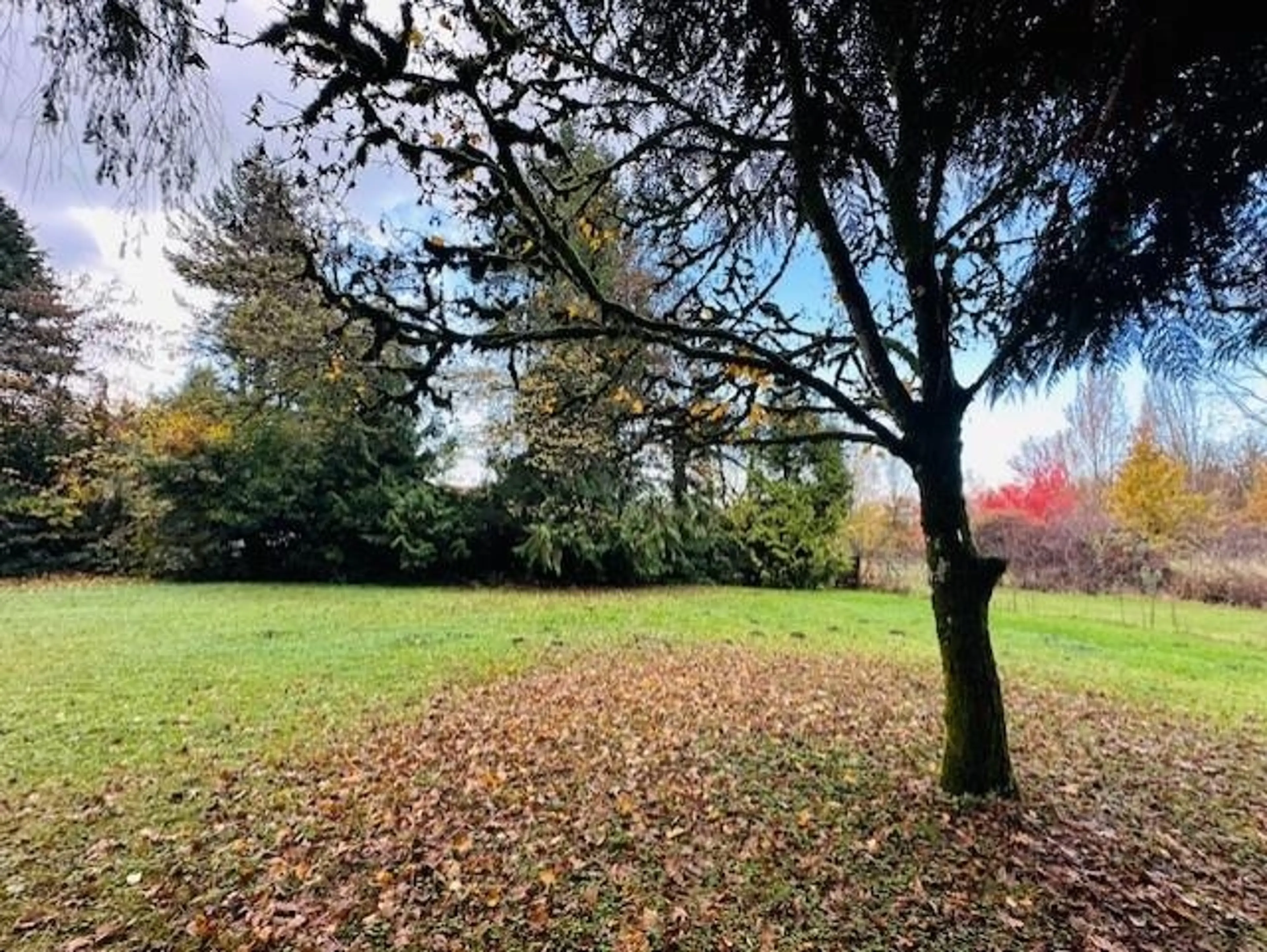 Property at 18351 74 AVENUE, Surrey, BC