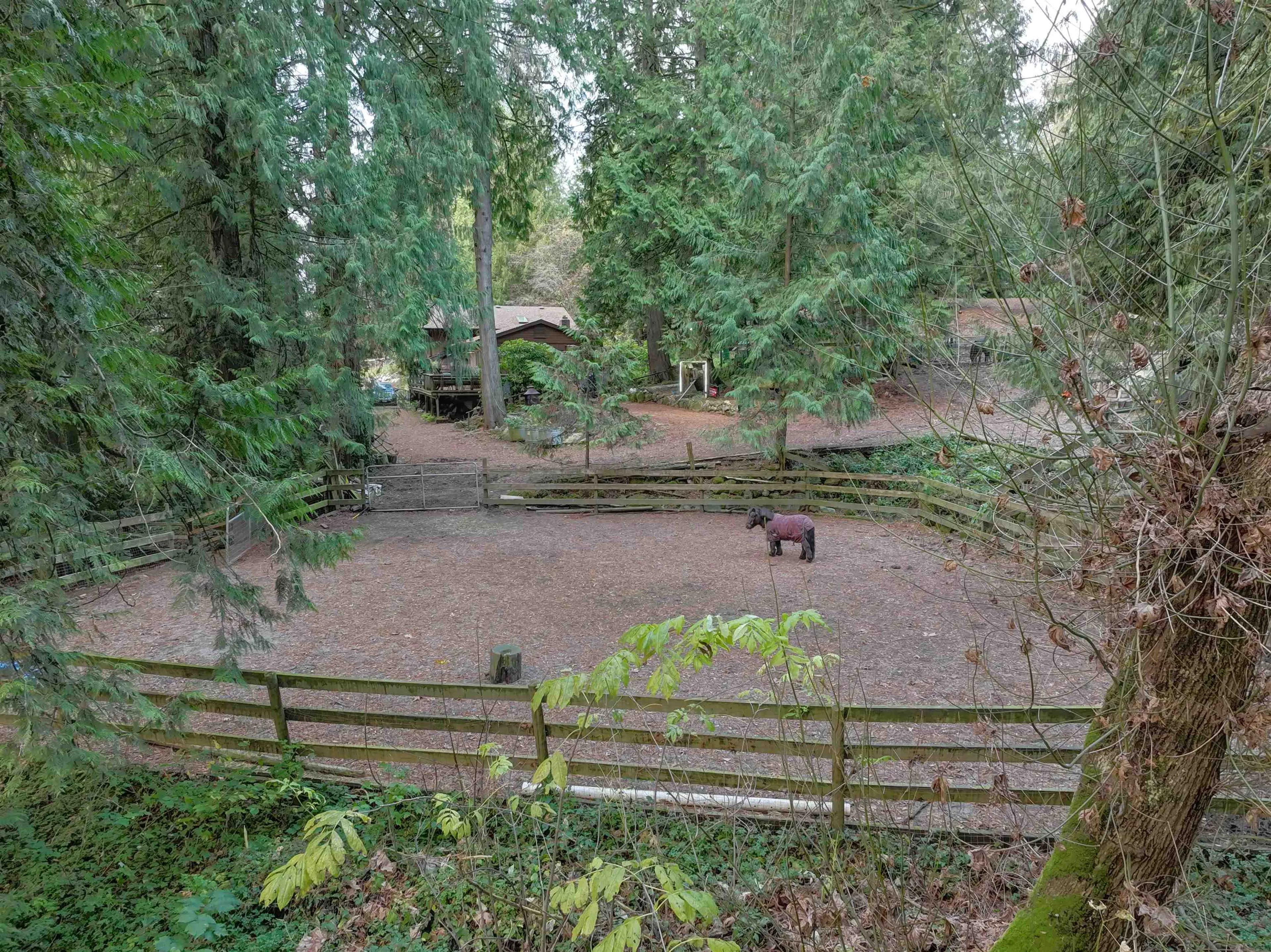 Property at 14042 232 STREET, Maple Ridge, BC