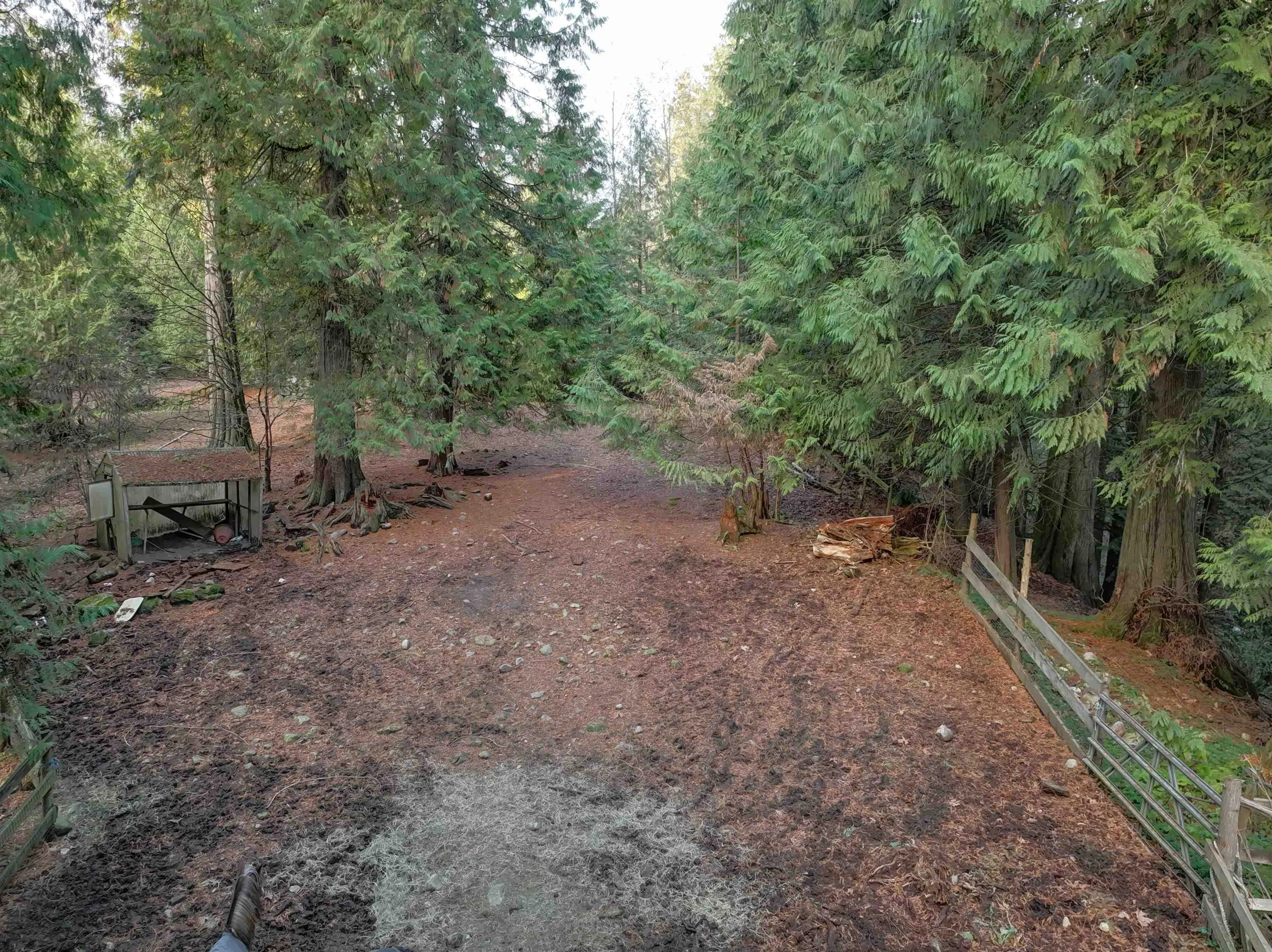 Property at 14042 232 STREET, Maple Ridge, BC