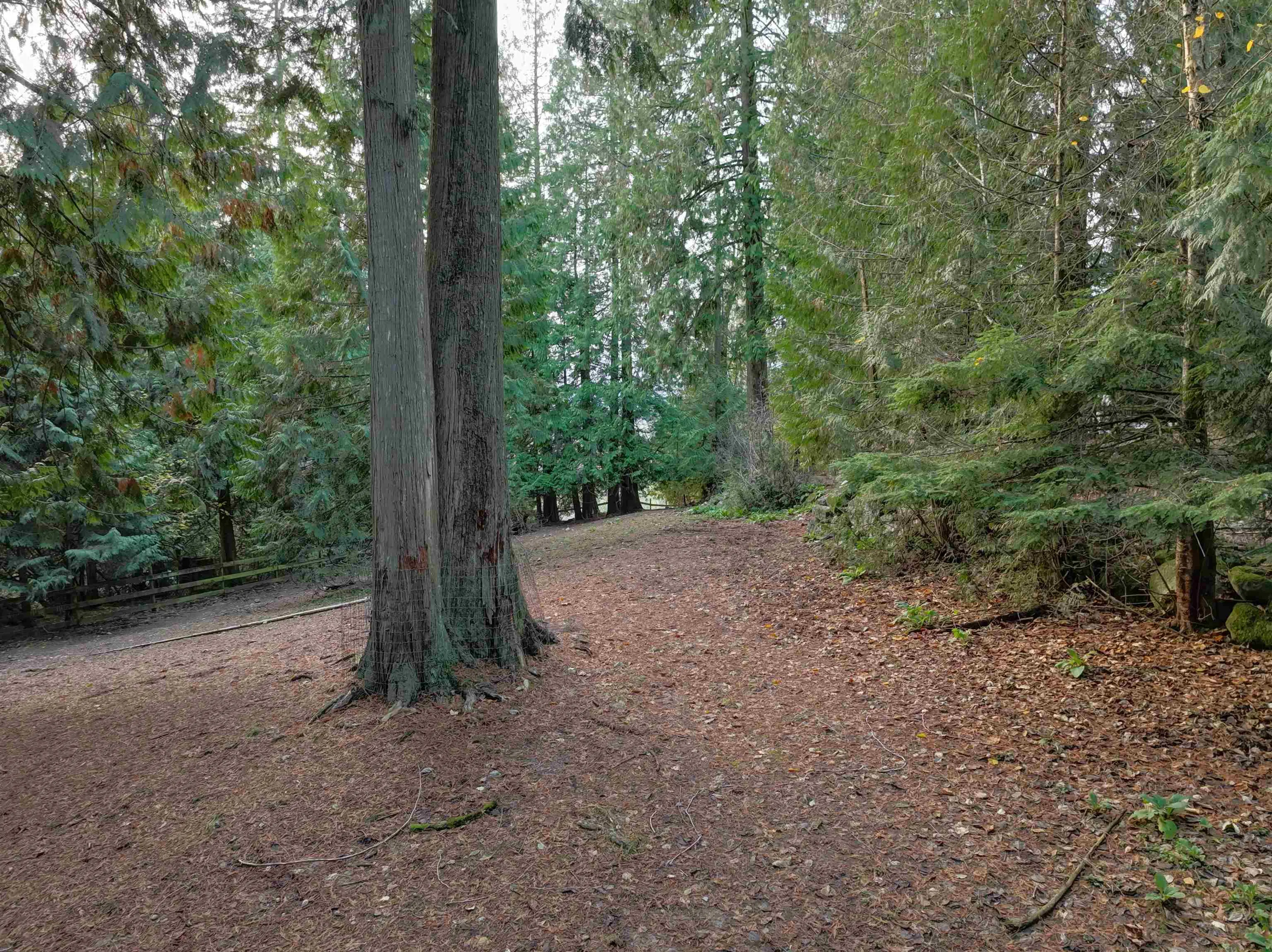 Property at 14042 232 STREET, Maple Ridge, BC