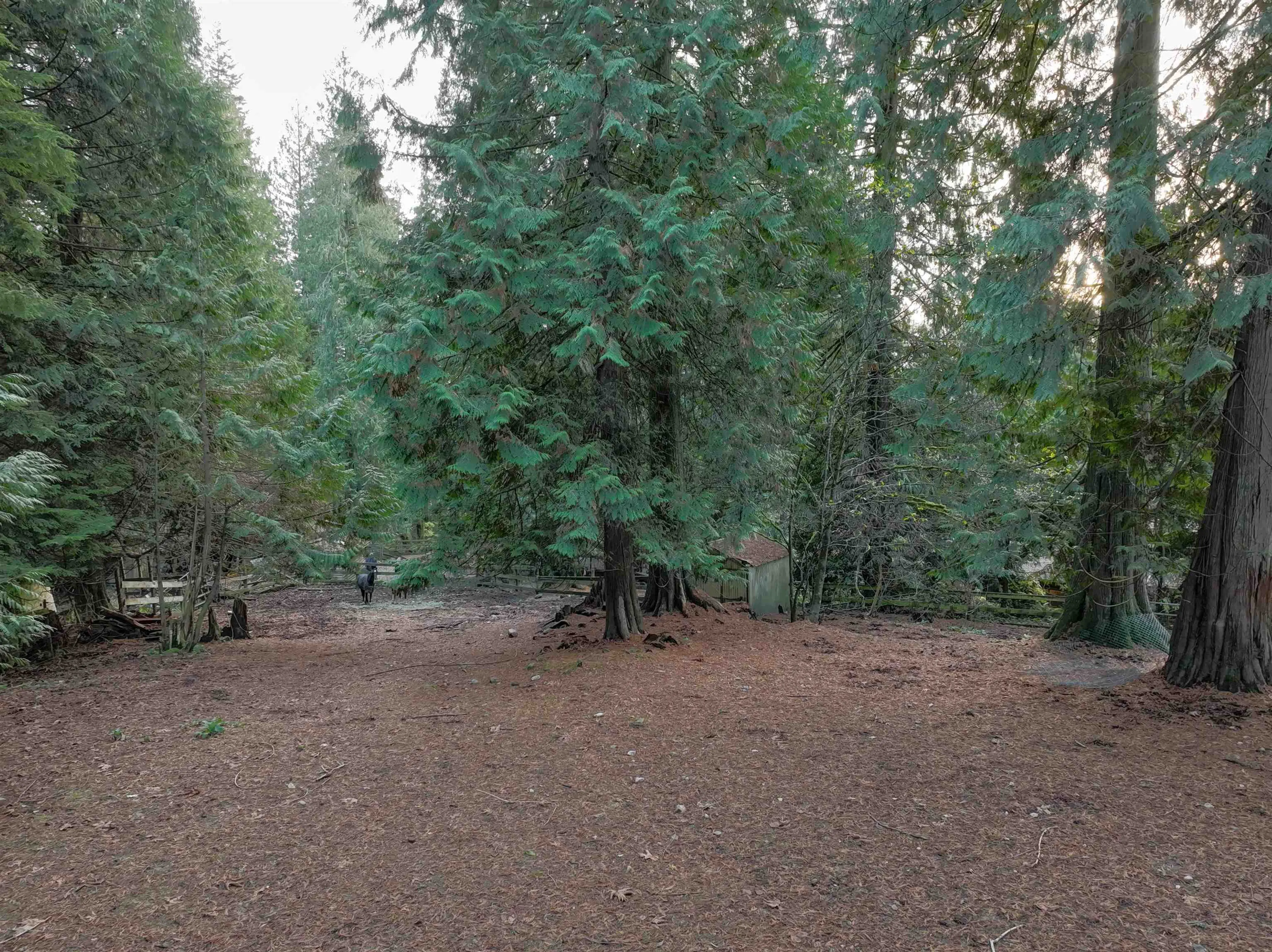 Property at 14042 232 STREET, Maple Ridge, BC