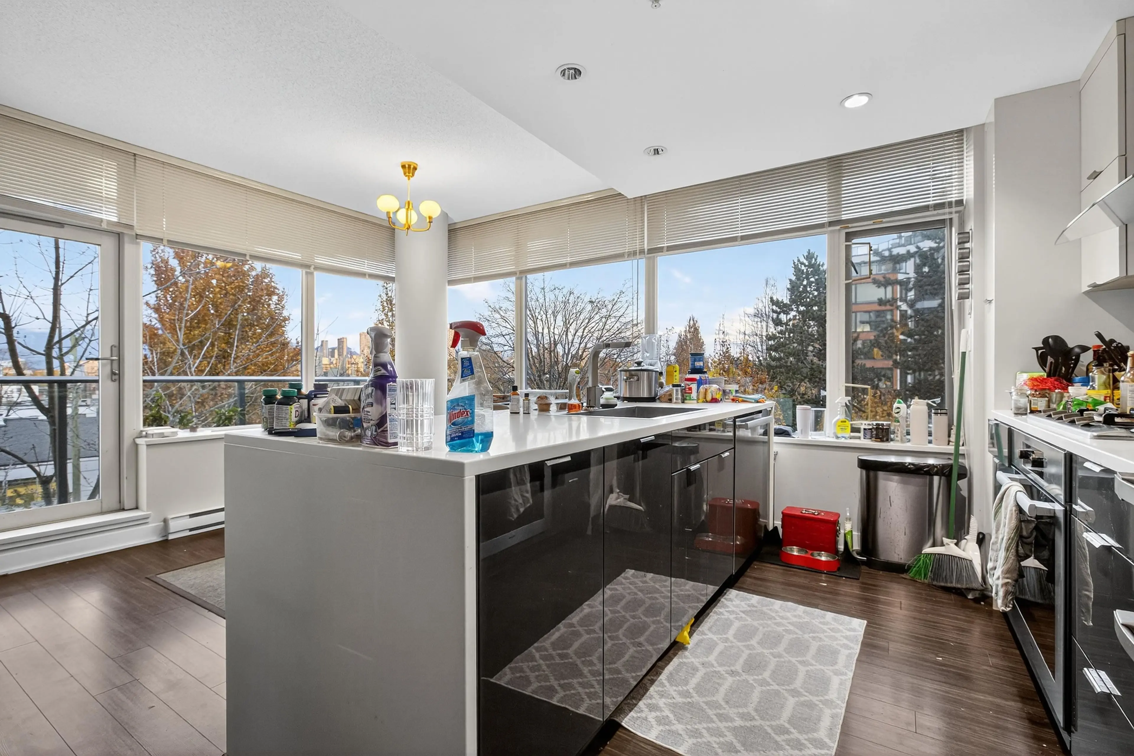 Property at #210 1777 W 7TH AVENUE, Vancouver, BC