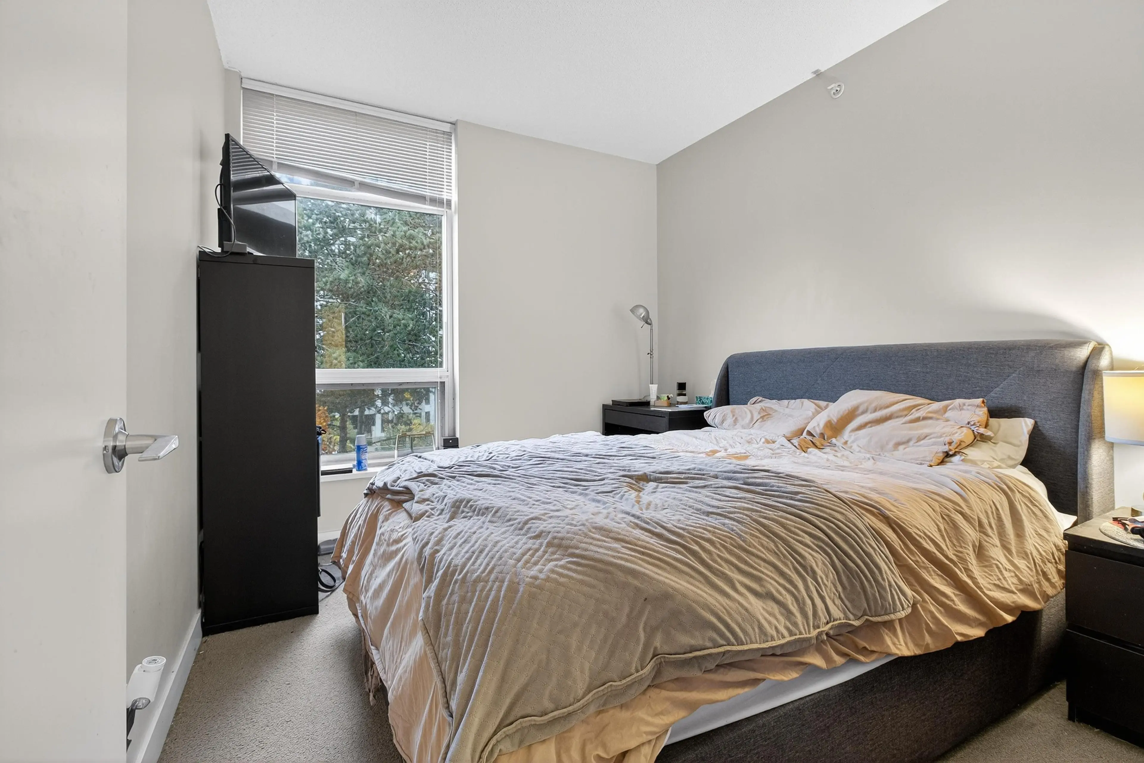 Property at #210 1777 W 7TH AVENUE, Vancouver, BC