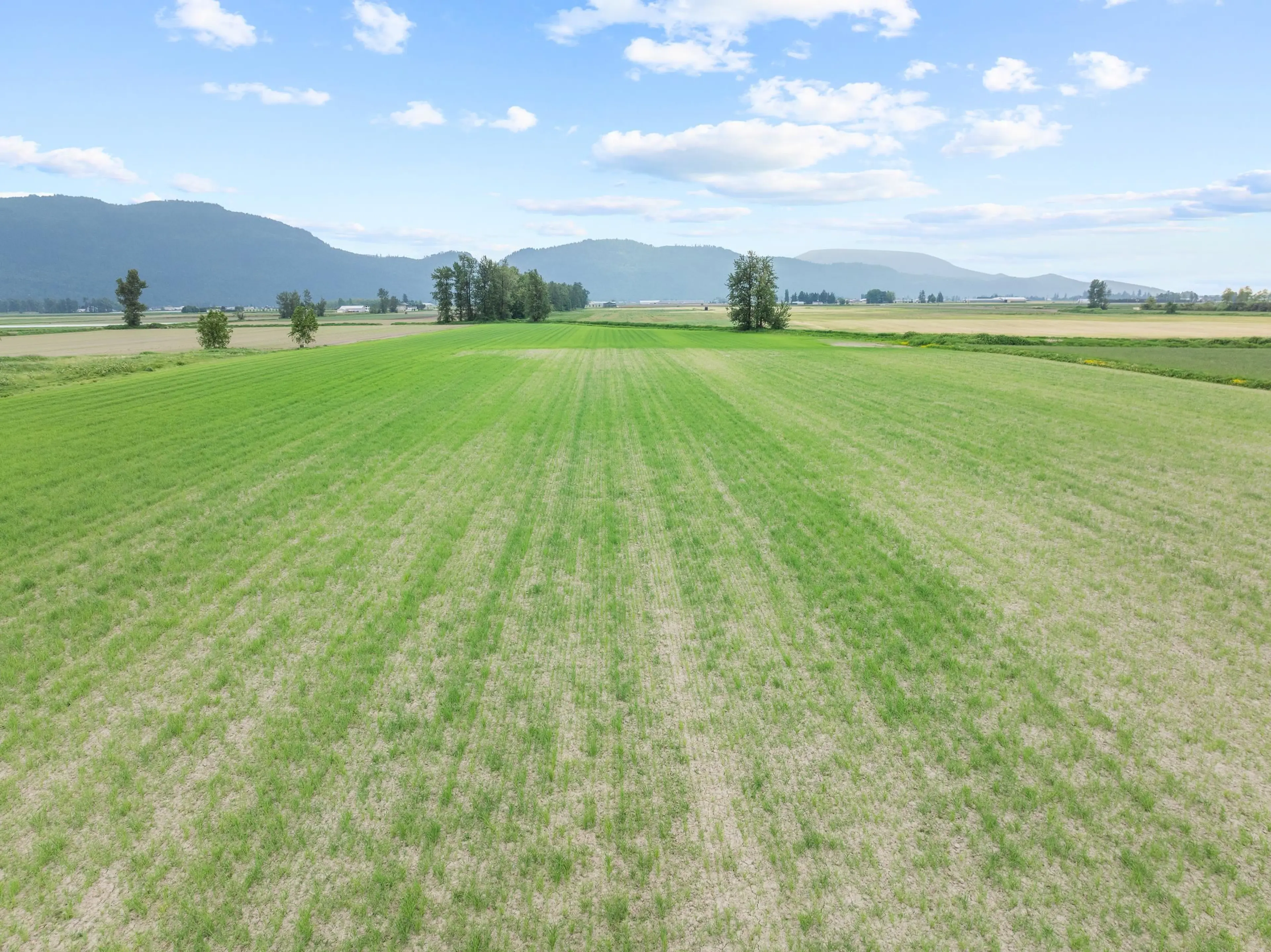 Property at 38604 NO 5 ROAD, Abbotsford, BC