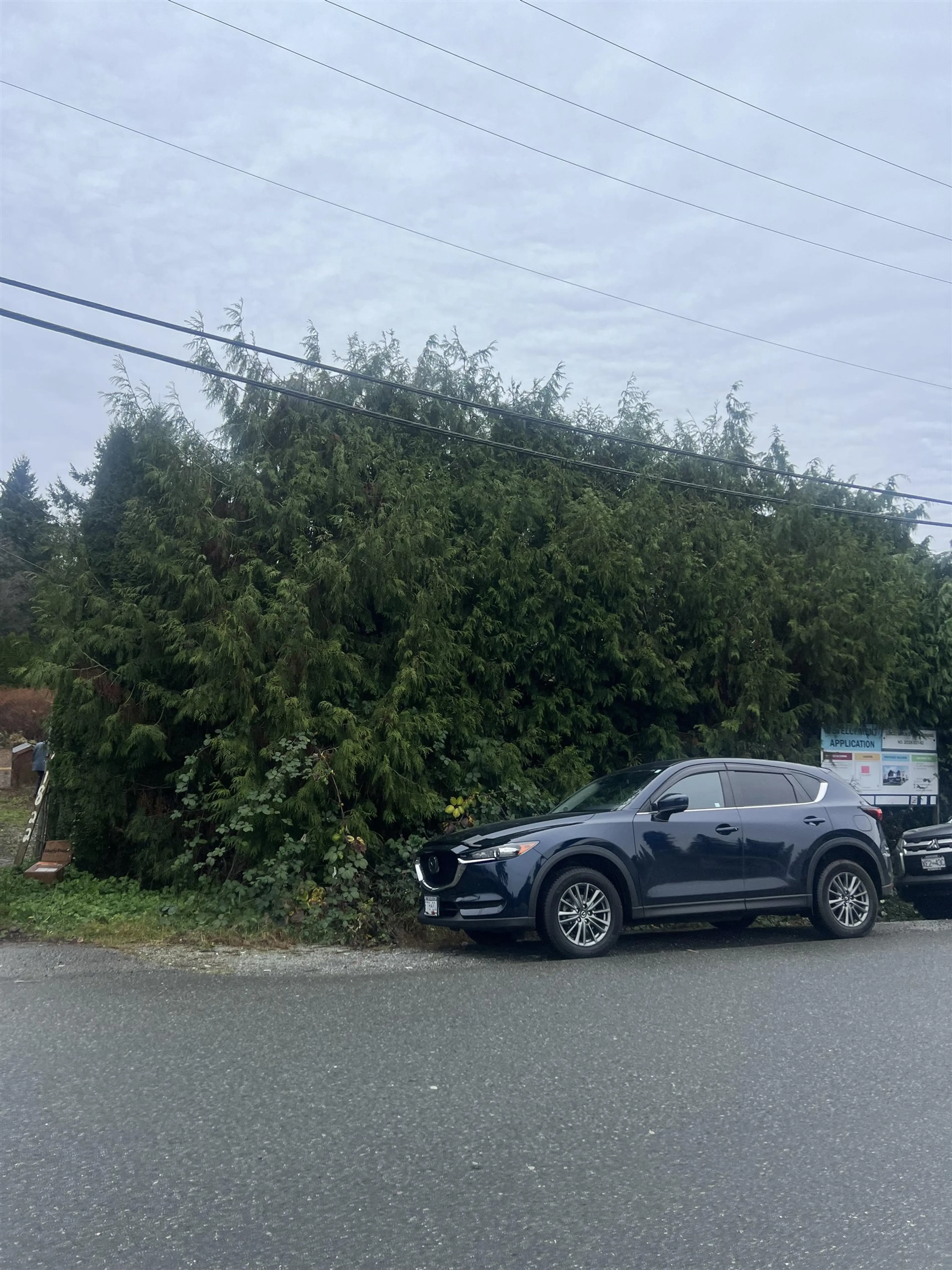 Property at 11822 OWEN STREET, Maple Ridge, BC