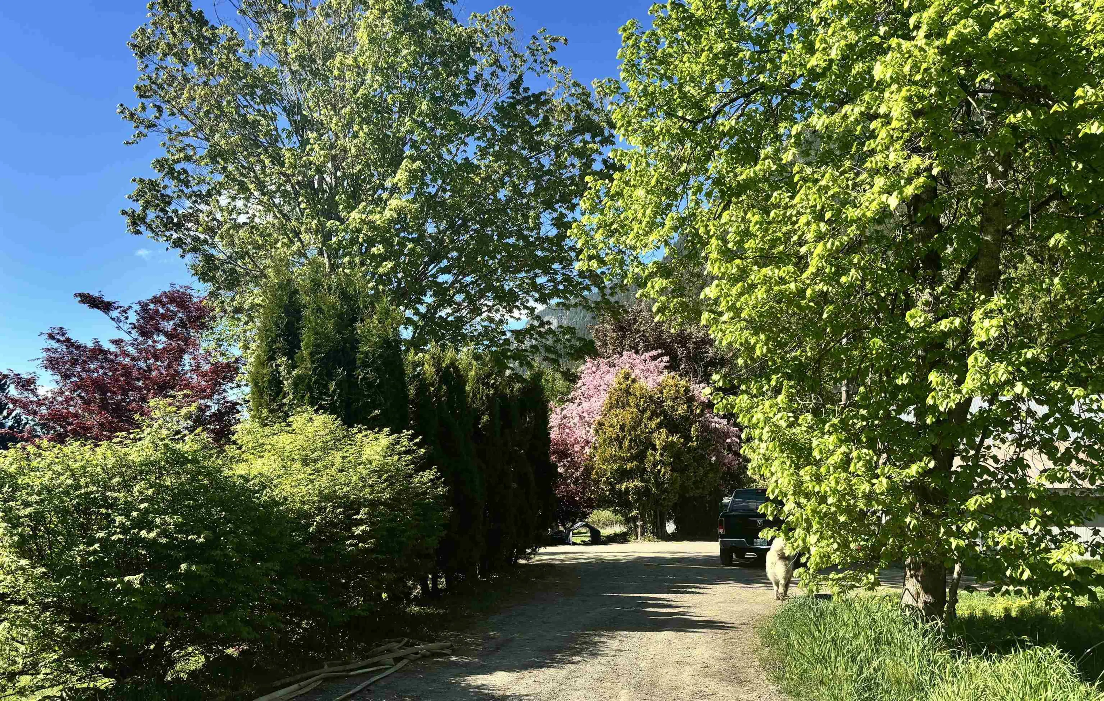 Property at 945 ERICKSON ROAD, Pemberton, BC