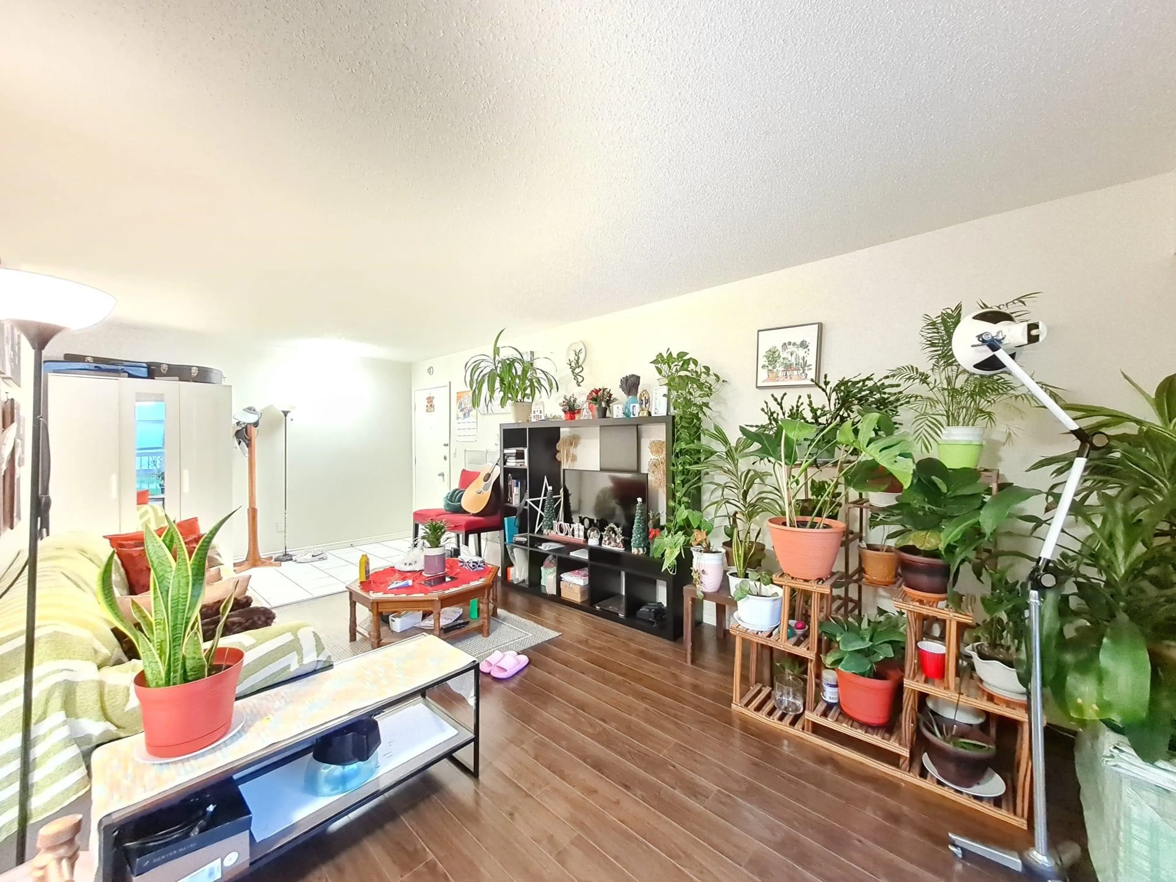 Property at #106 8080 RYAN ROAD, Richmond, BC