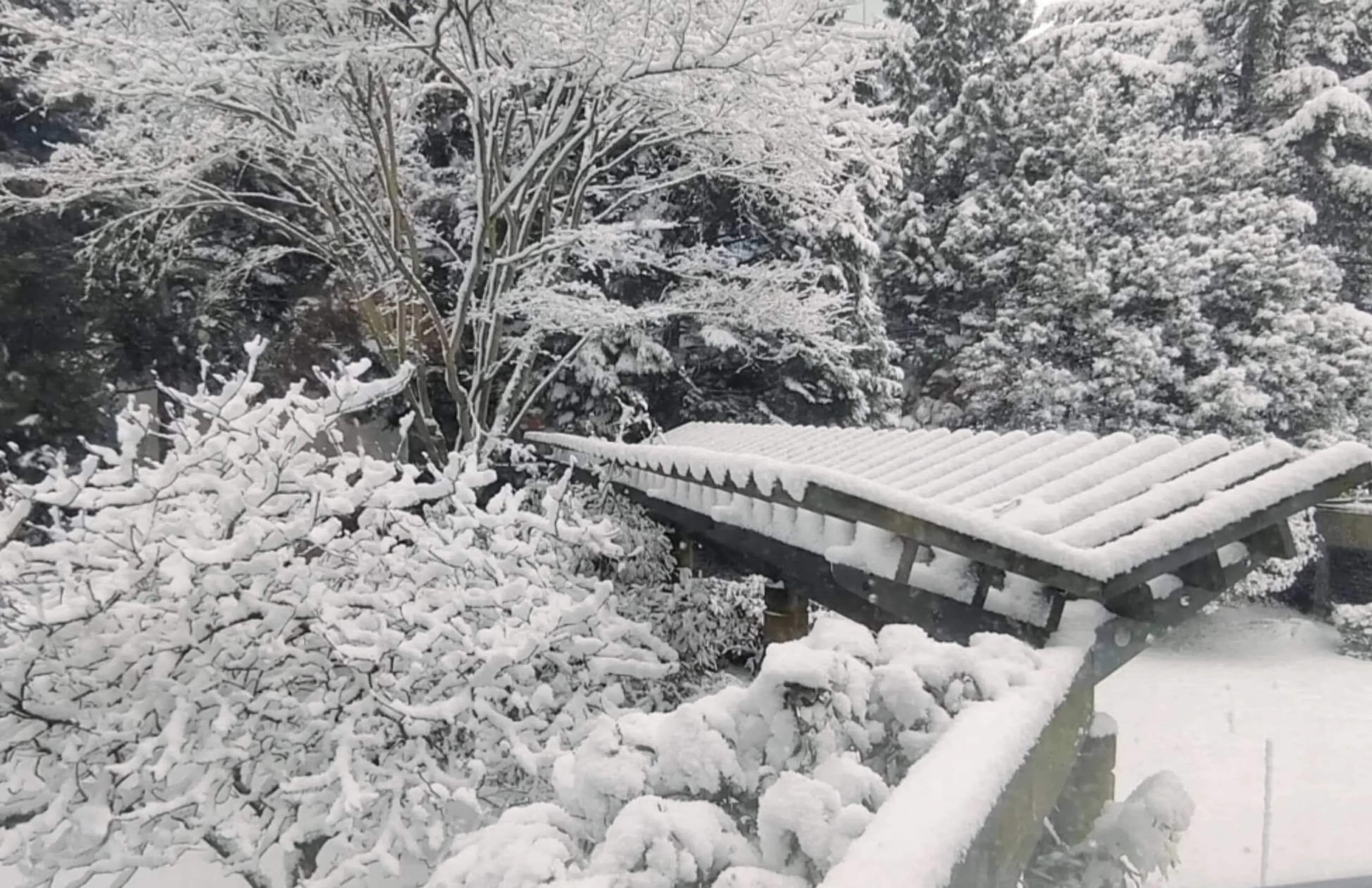 Property at #206 4505 HAZEL STREET, Burnaby, BC