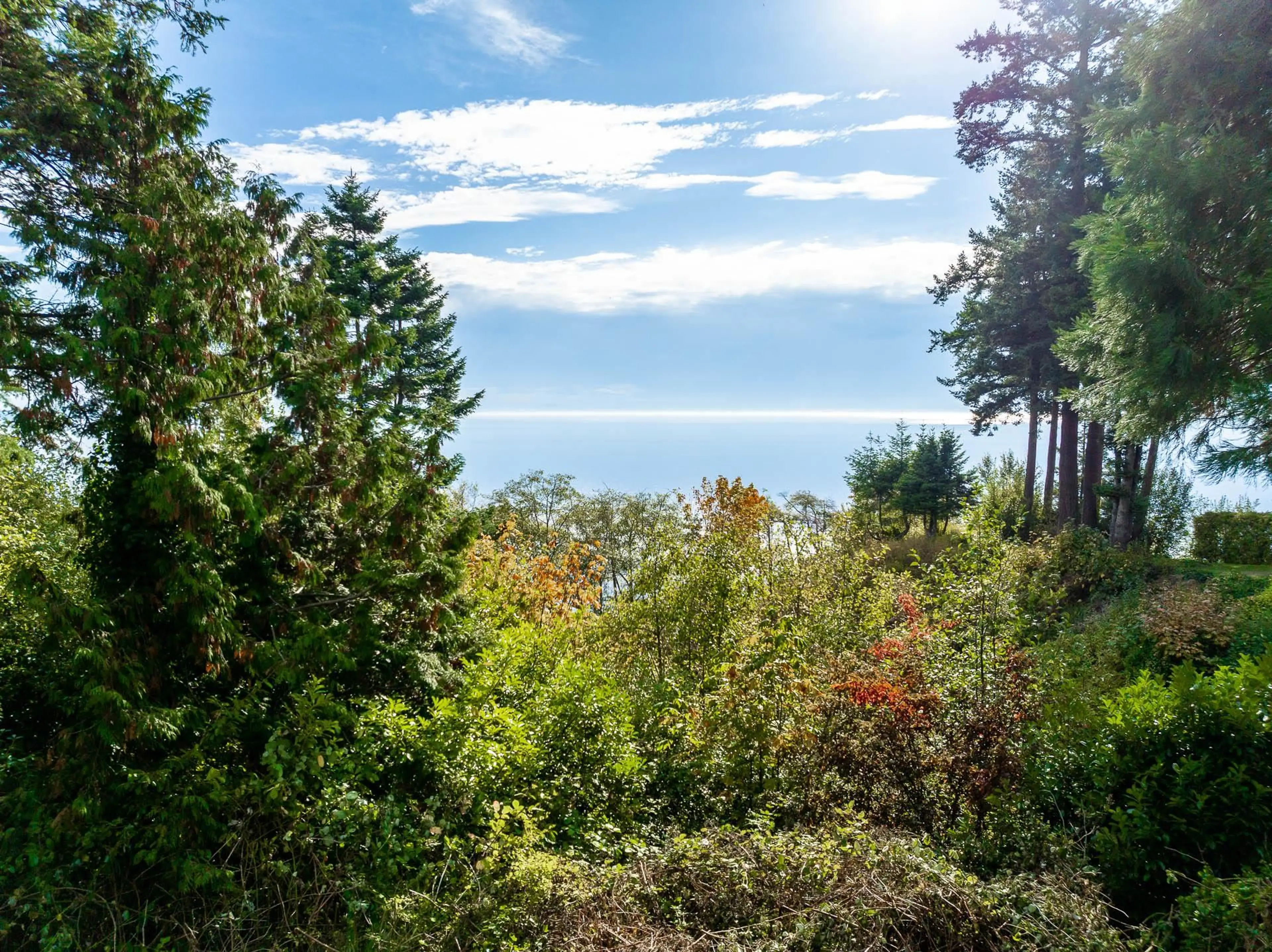 Property at 13536 13A AVENUE, Surrey, BC