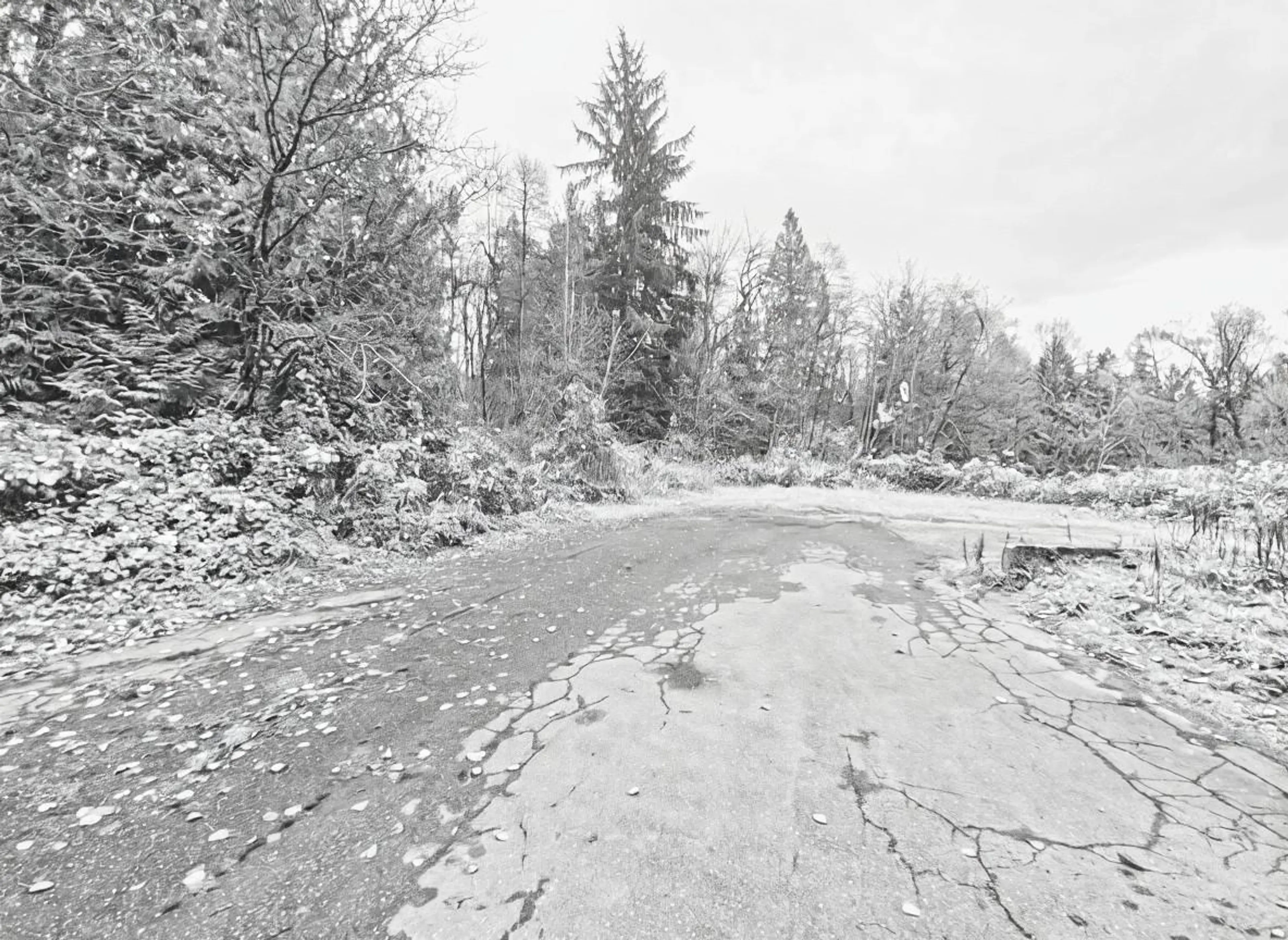 Property at 28140 56 AVENUE, Abbotsford, BC