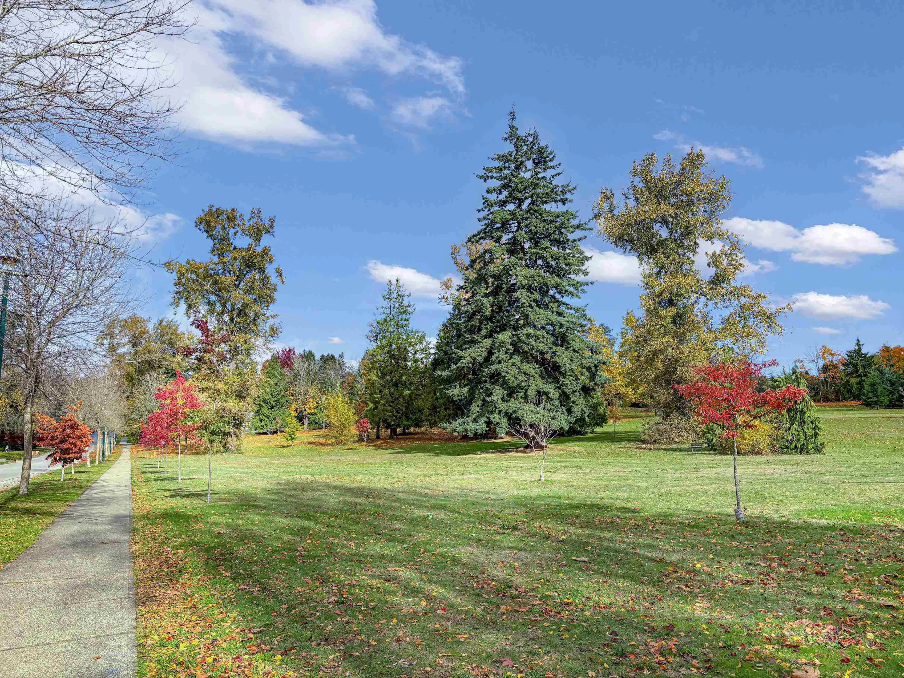 Property at 8295 ANGUS DRIVE, Vancouver, BC