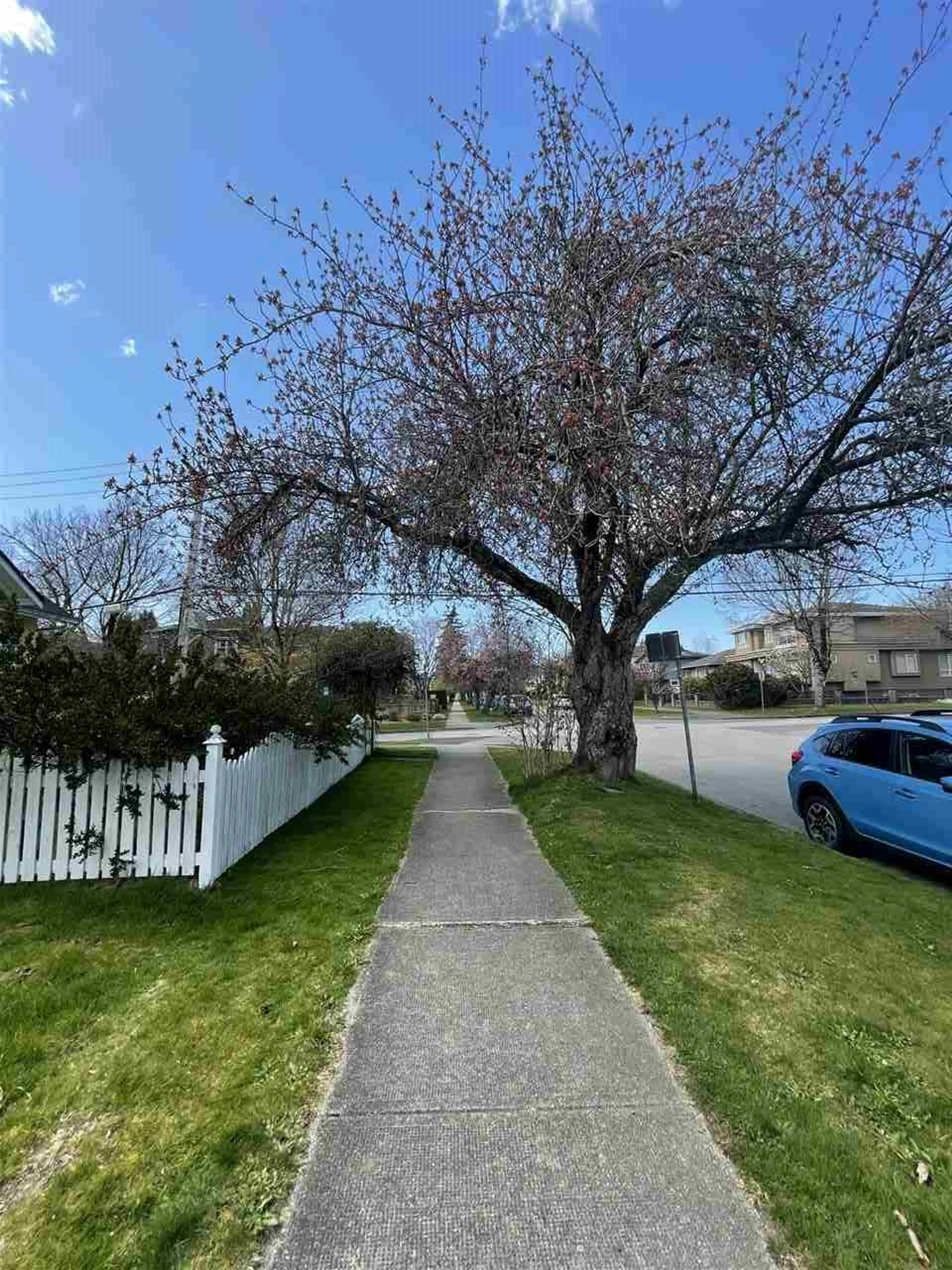 Property at 88 W 48TH AVENUE, Vancouver, BC