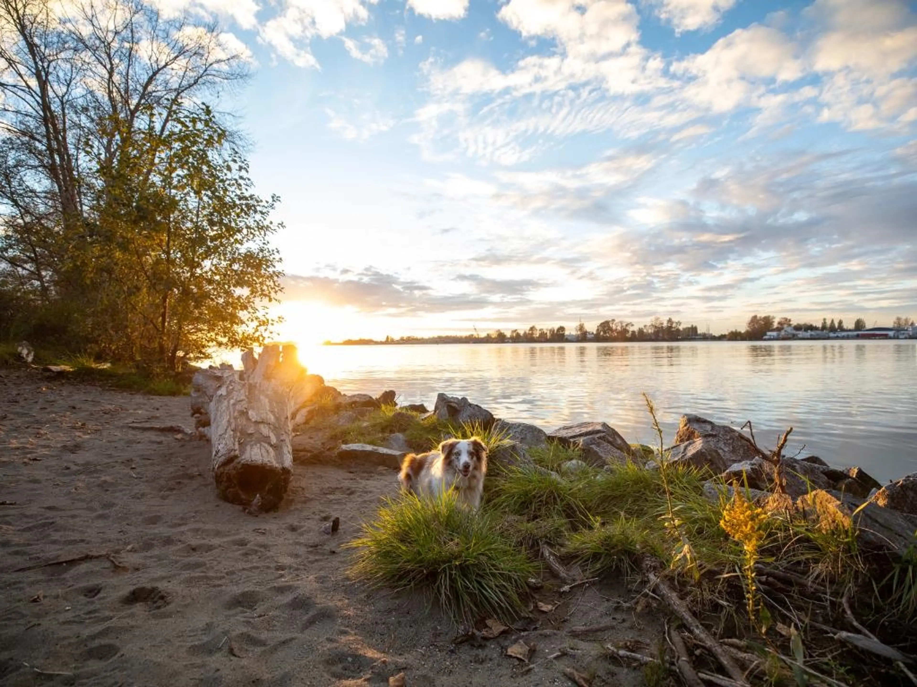 Property at #53 4732 60B STREET, Delta, BC