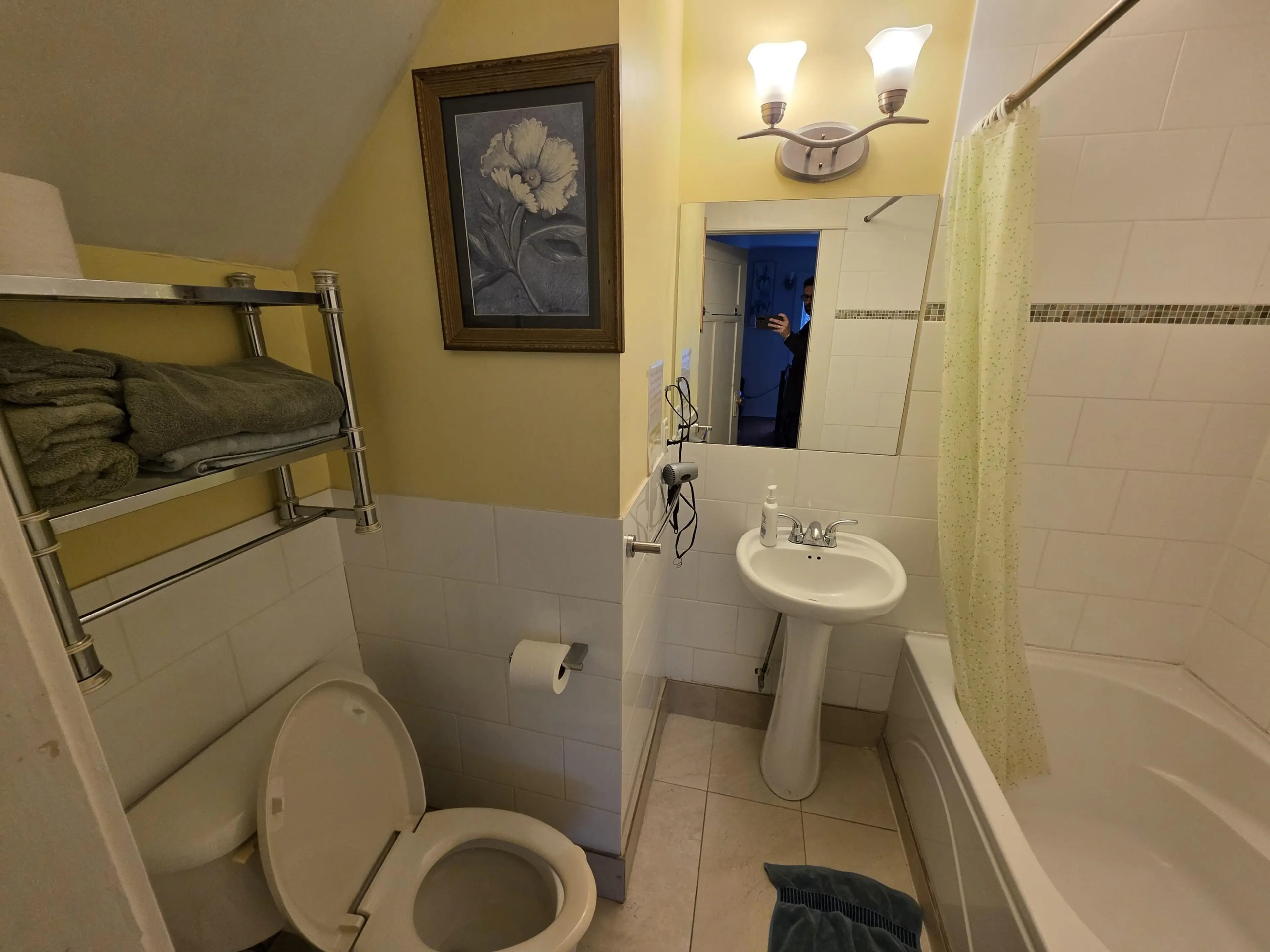 Property at 387 W 13TH AVENUE, Vancouver, BC