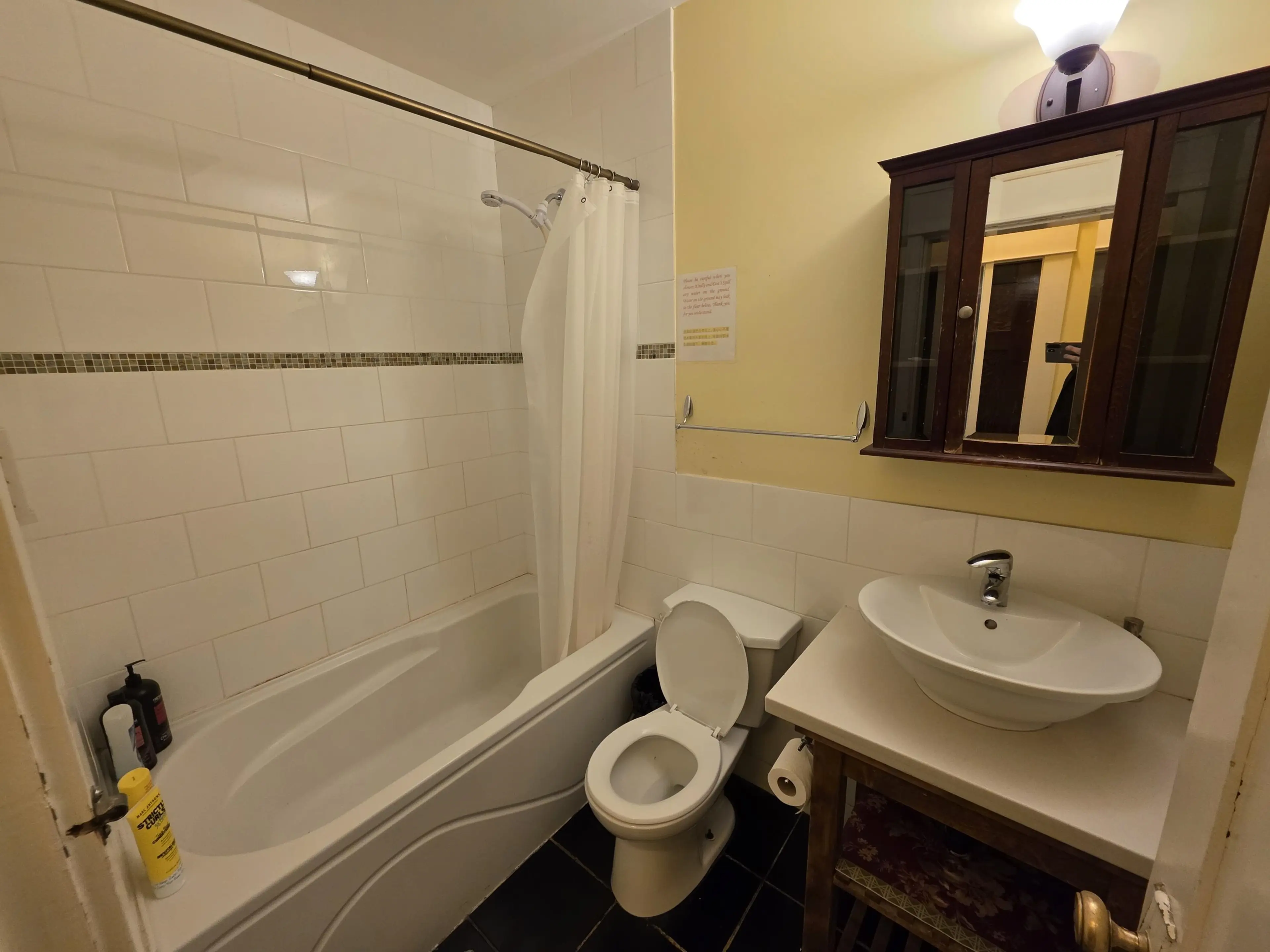 Property at 387 W 13TH AVENUE, Vancouver, BC