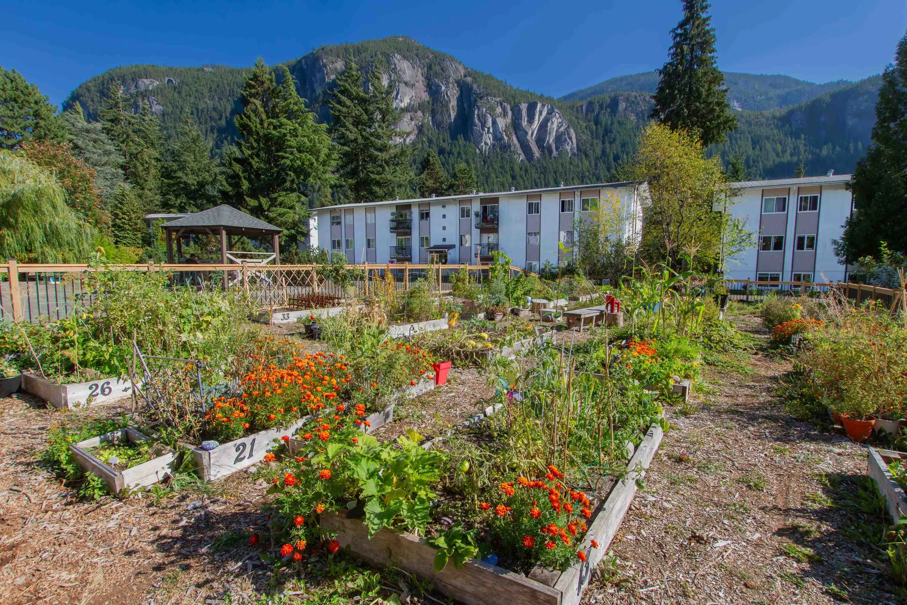 Property at #92 38179 WESTWAY AVENUE, Squamish, BC