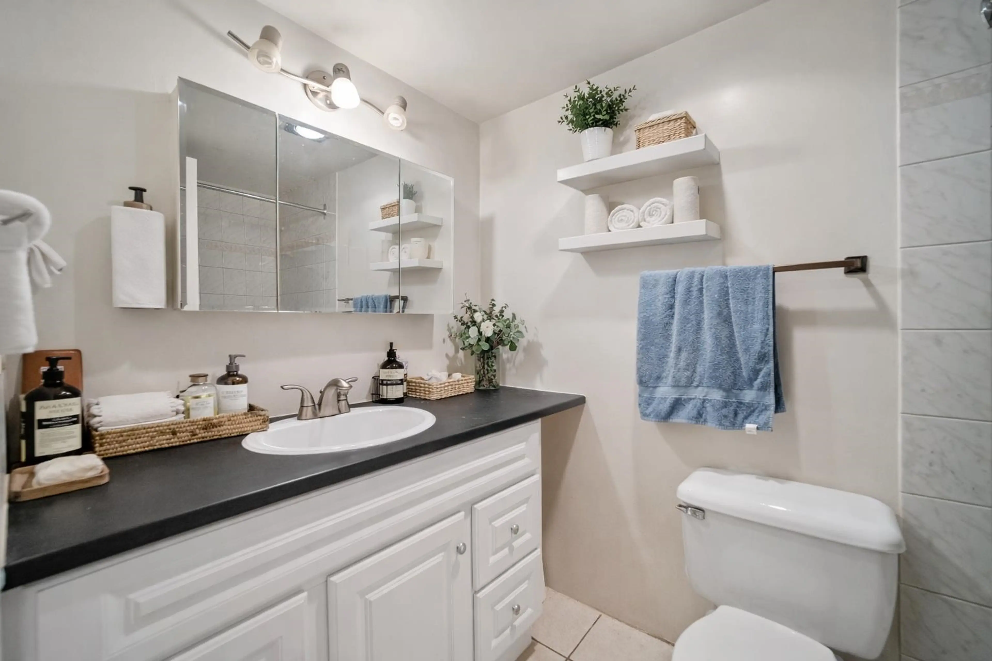 Property at #229 2033 TRIUMPH STREET, Vancouver, BC