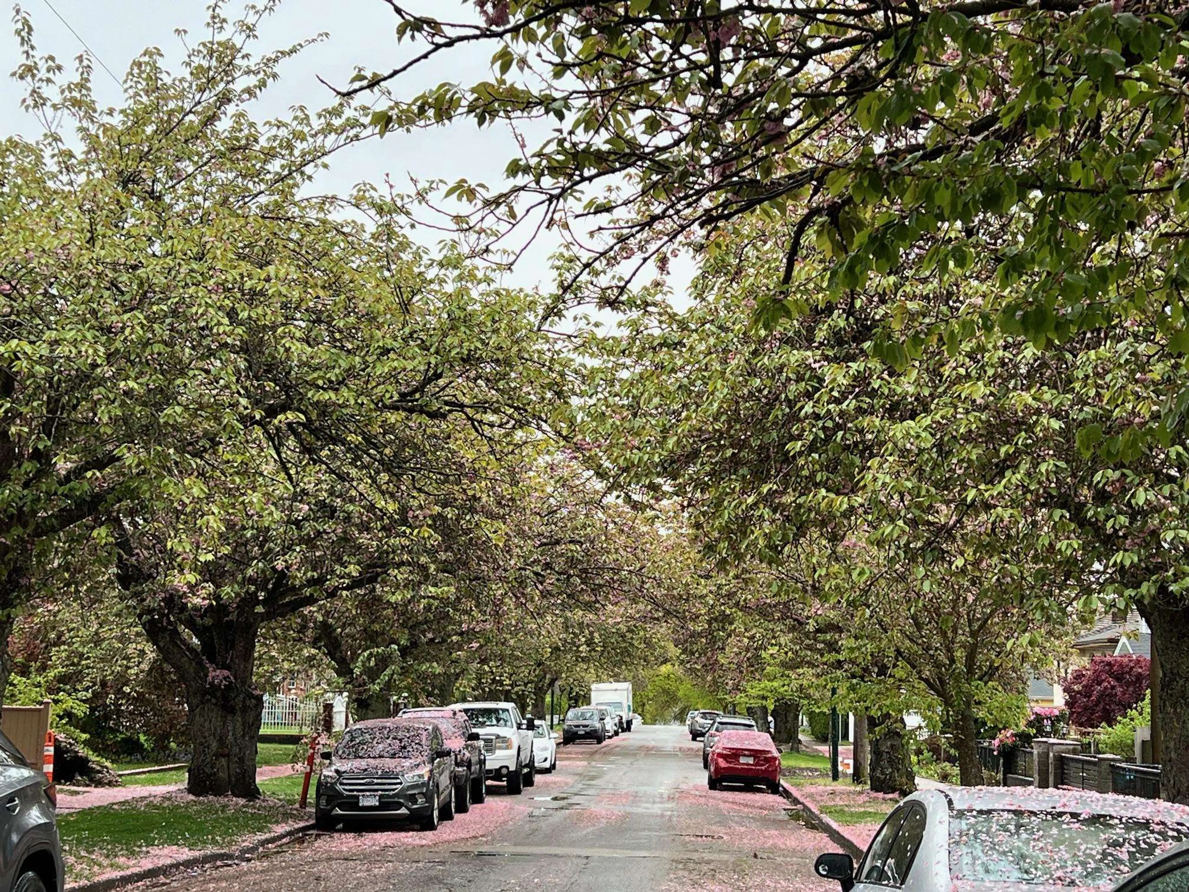 Property at 2435 E 38TH AVENUE, Vancouver, BC