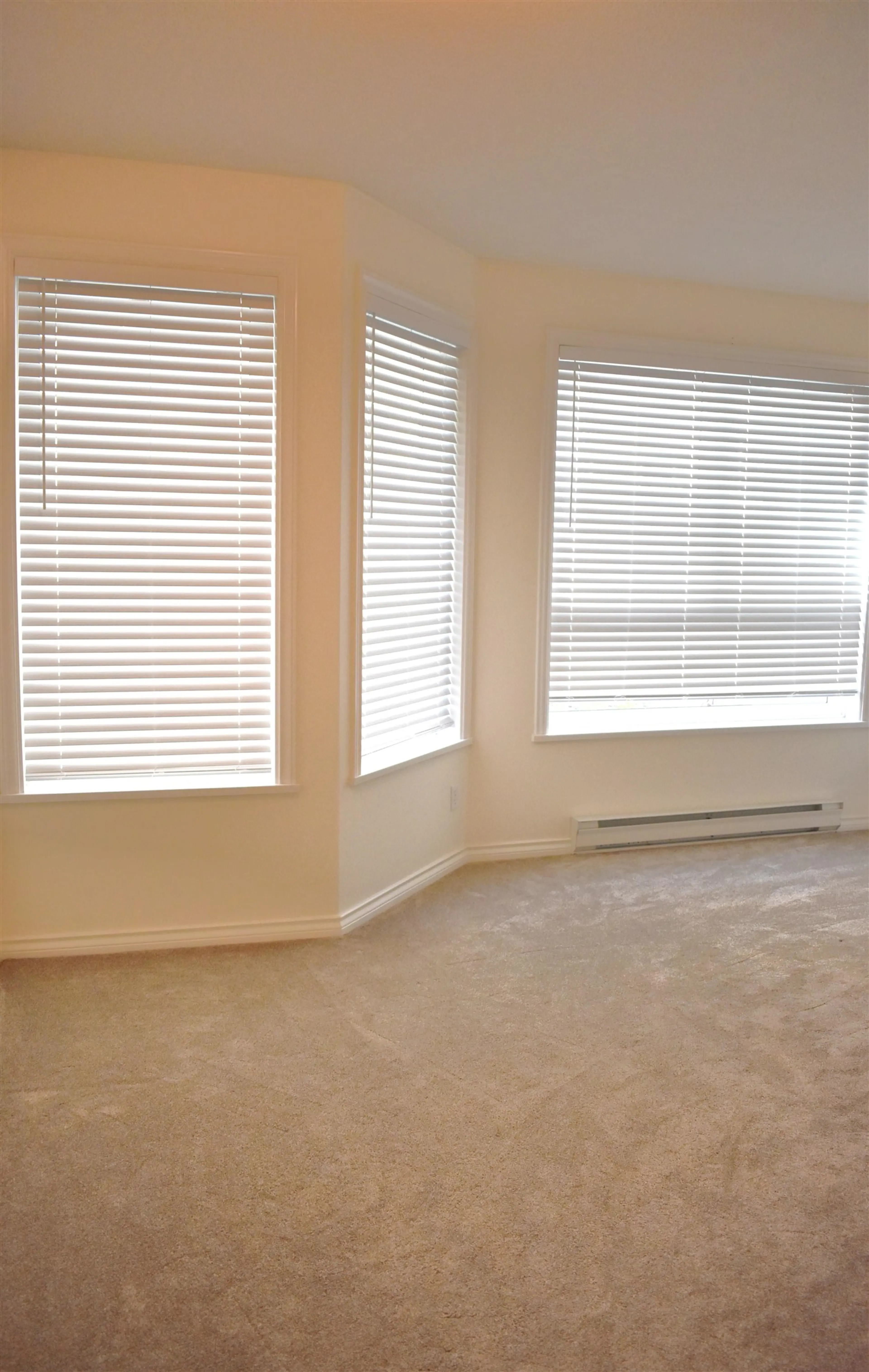 Property at #105 45775 SPADINA AVENUE, Chilliwack, BC