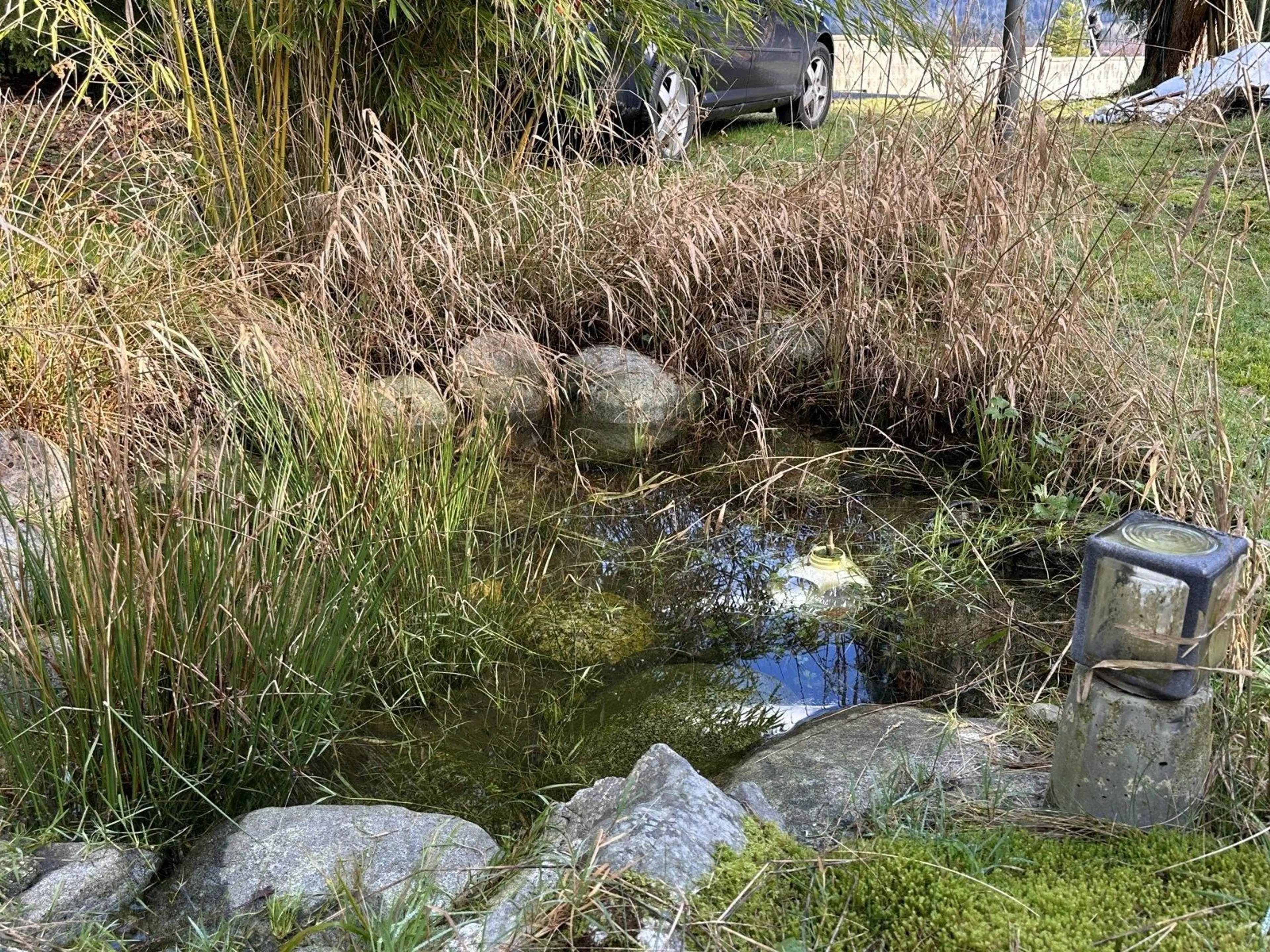 Property at 11191 STAVE LAKE ROAD, Mission, BC