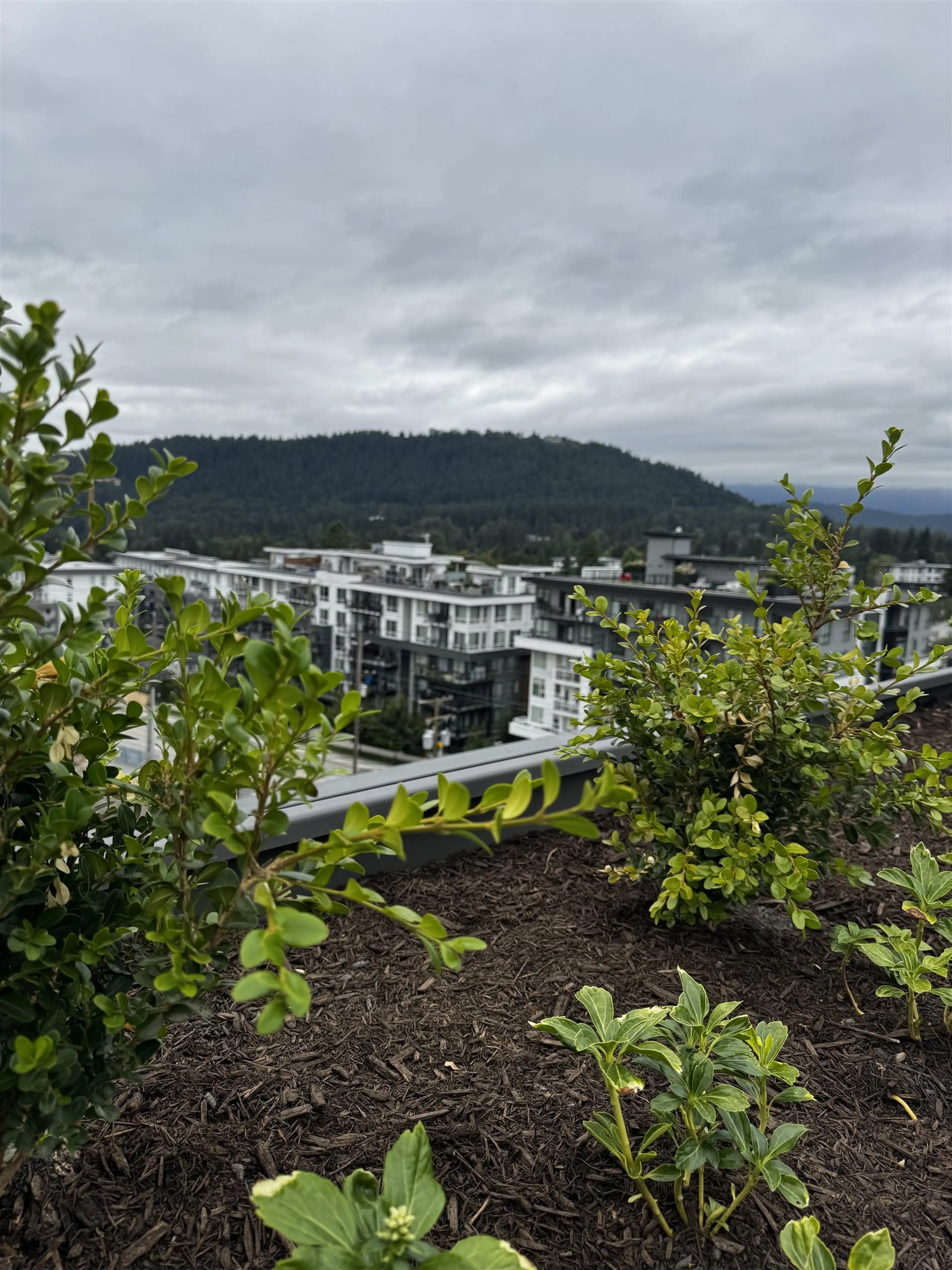 Property at #307 723 GROVER AVENUE, Coquitlam, BC