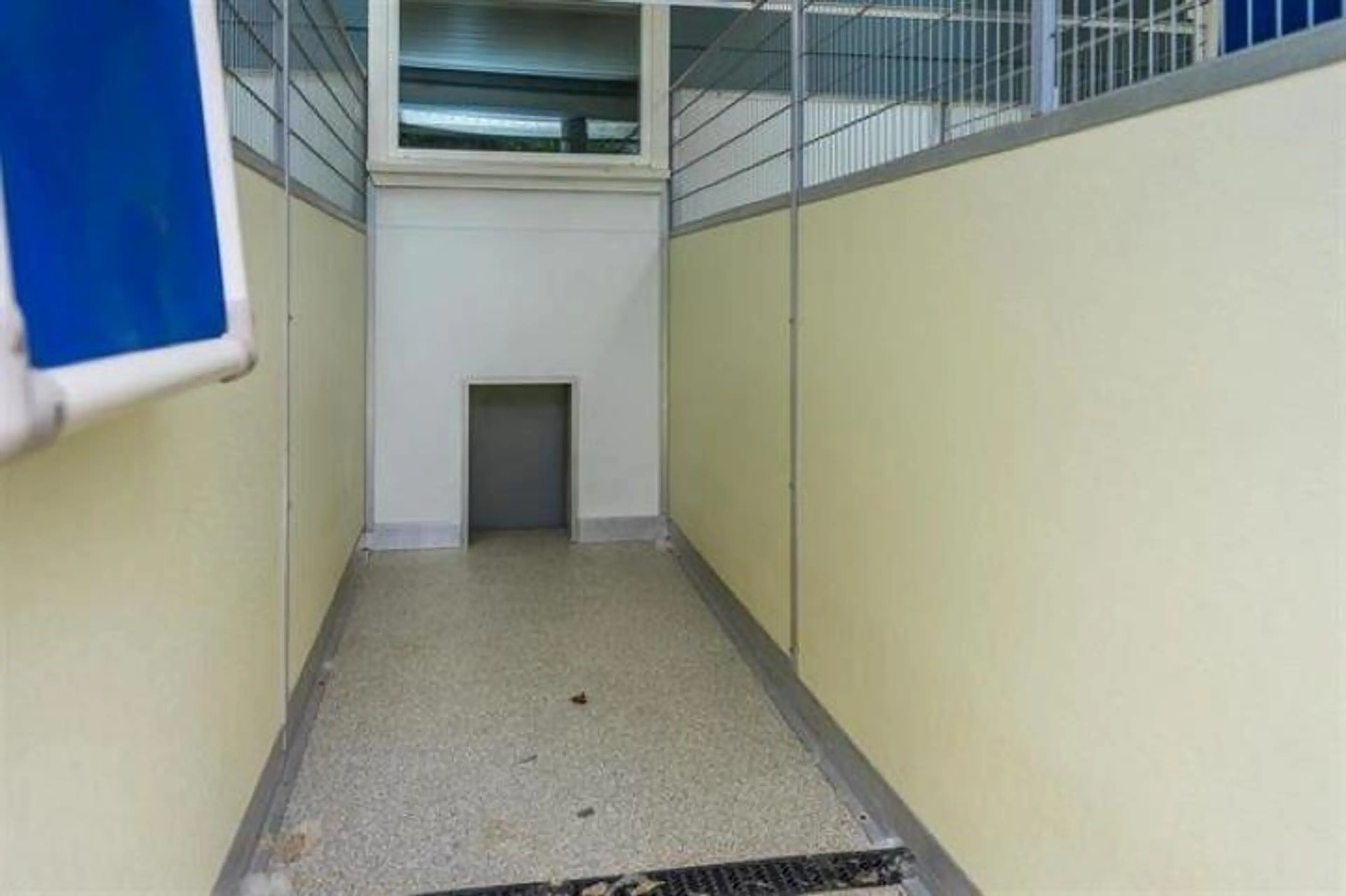 Property at 4102 LEFEUVRE ROAD, Abbotsford, BC