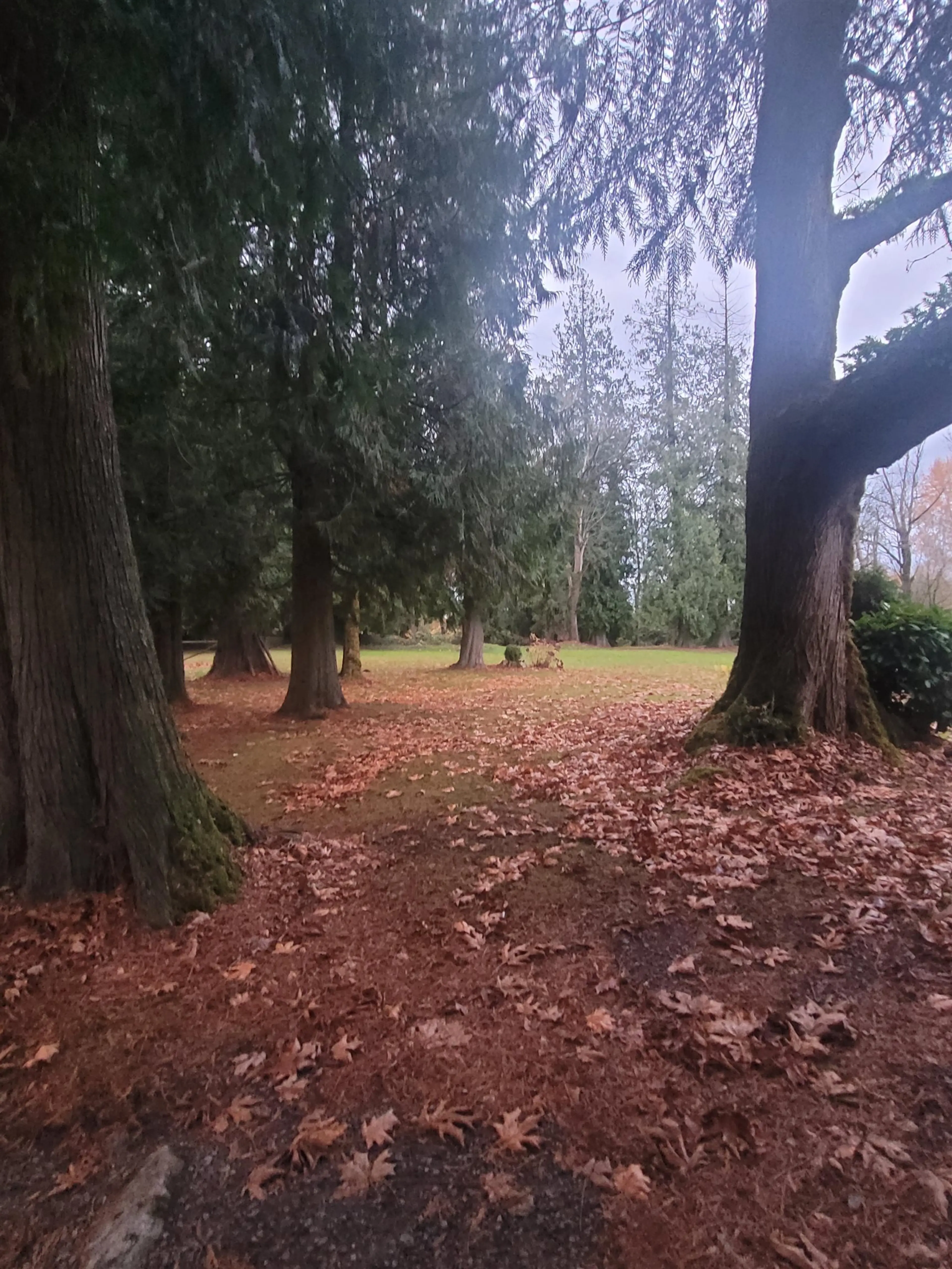 Property at 21457 78 AVENUE, Langley, BC