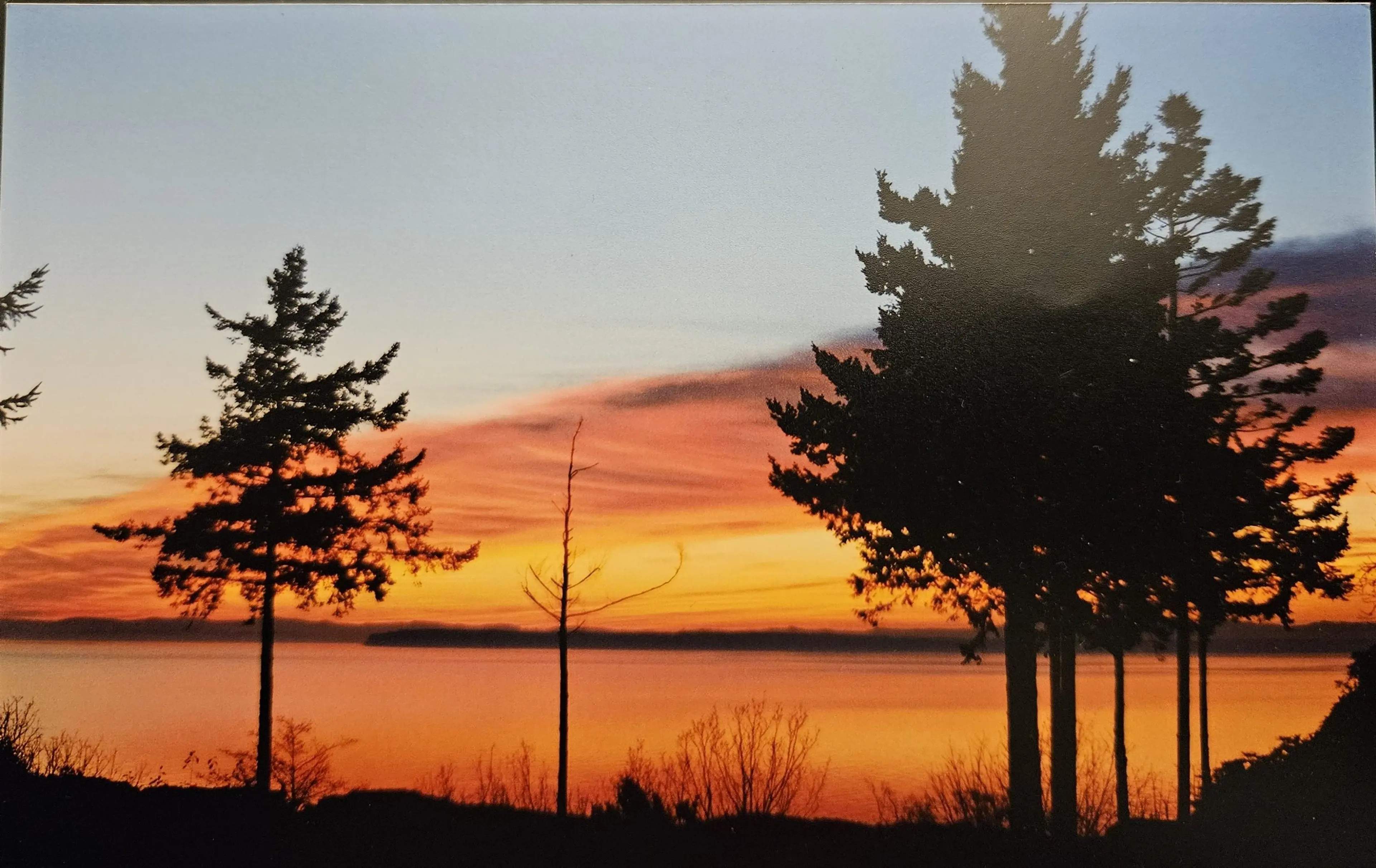 Property at 12581 16 AVENUE, Surrey, BC