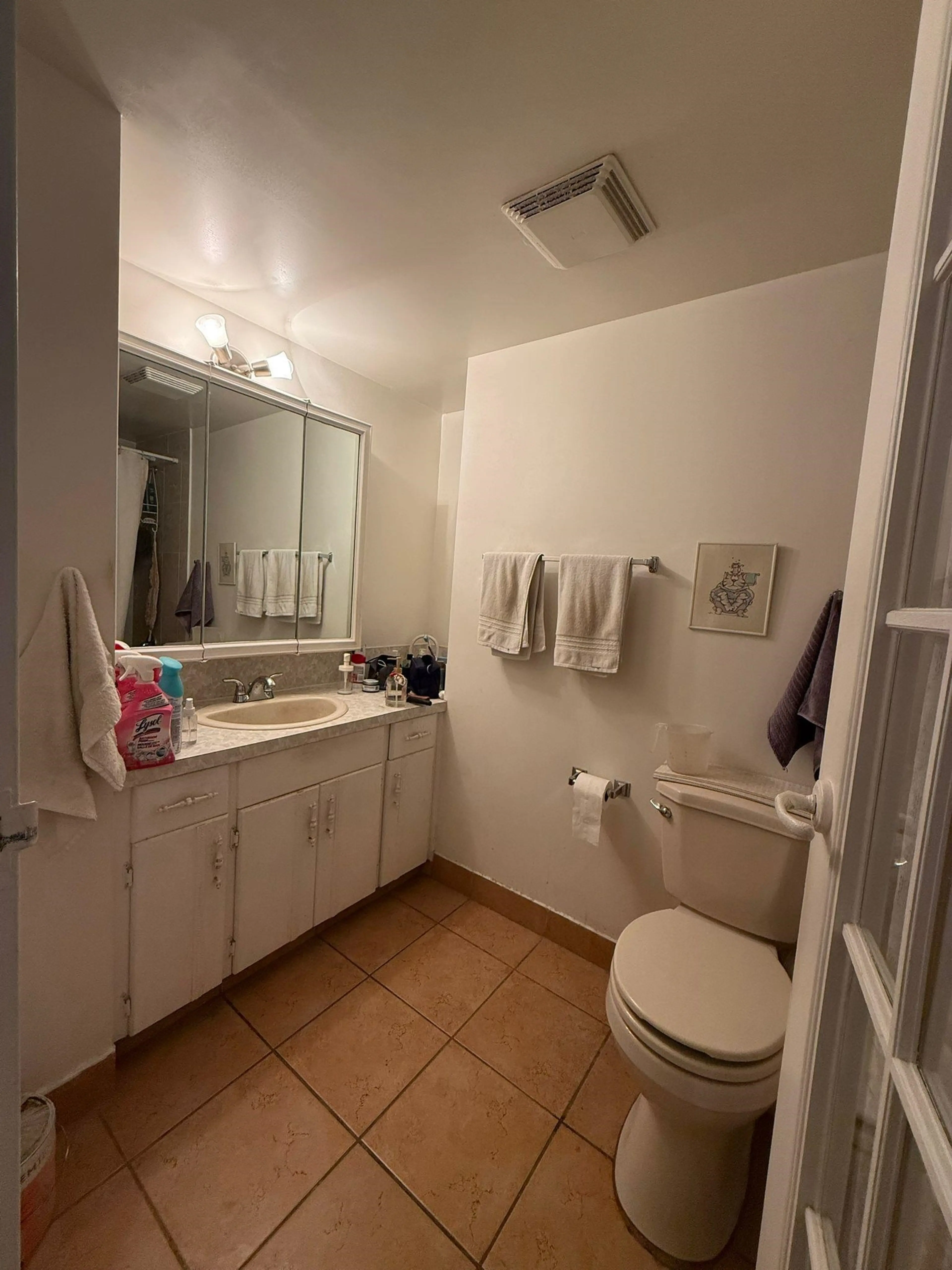 Property at #305 620 EIGHT AVENUE, New Westminster, BC