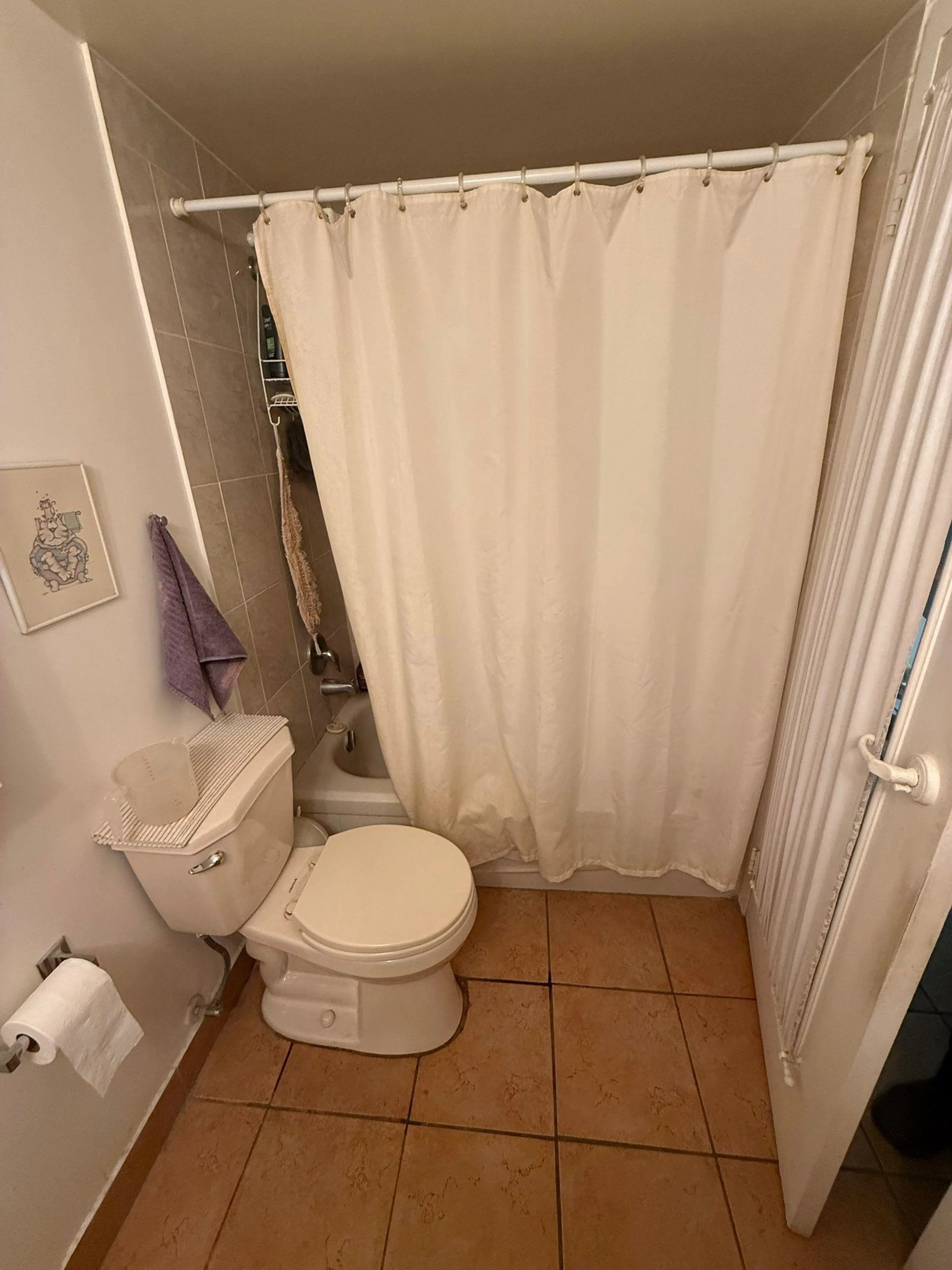 Property at #305 620 EIGHT AVENUE, New Westminster, BC