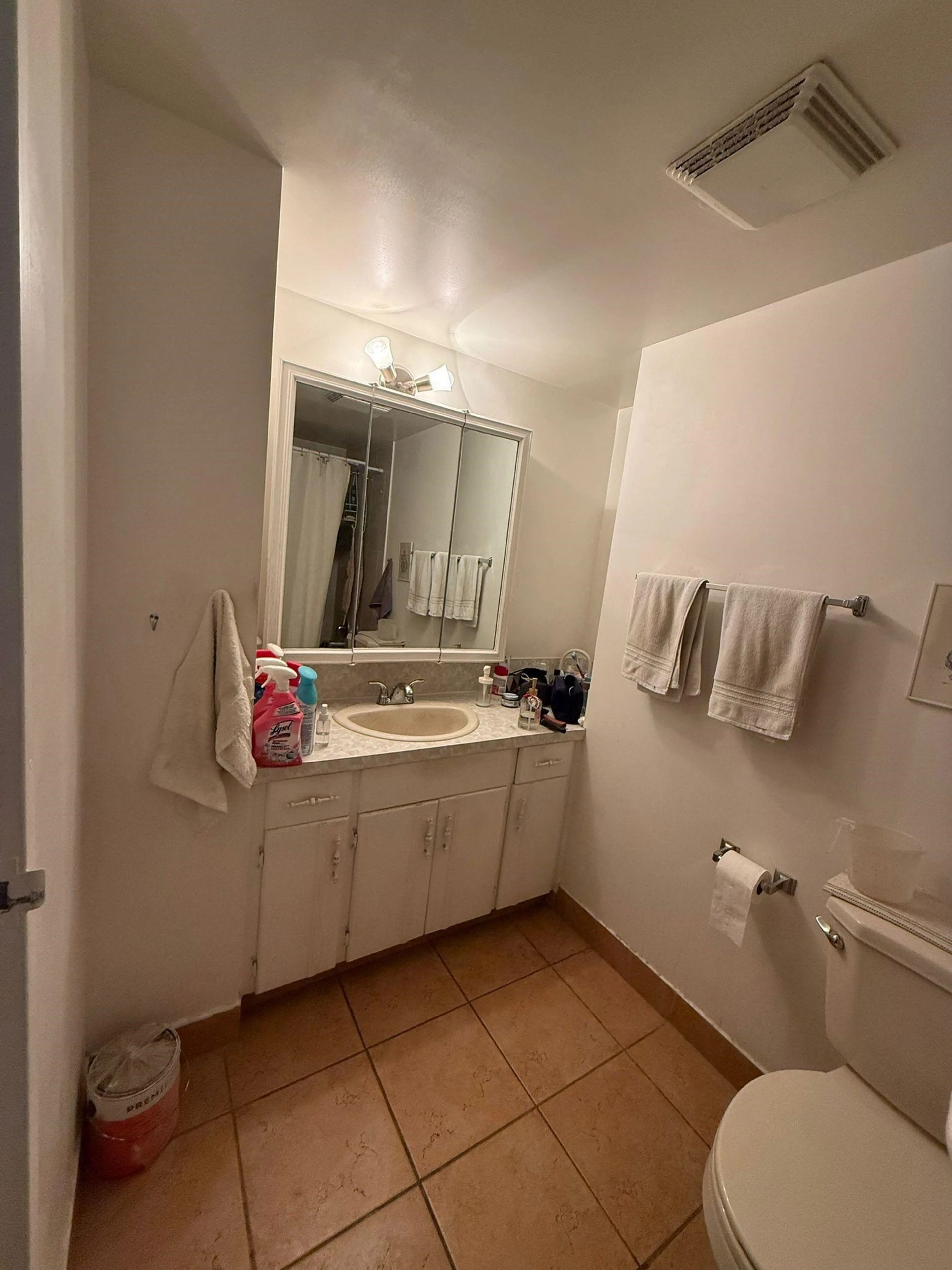 Property at #305 620 EIGHT AVENUE, New Westminster, BC