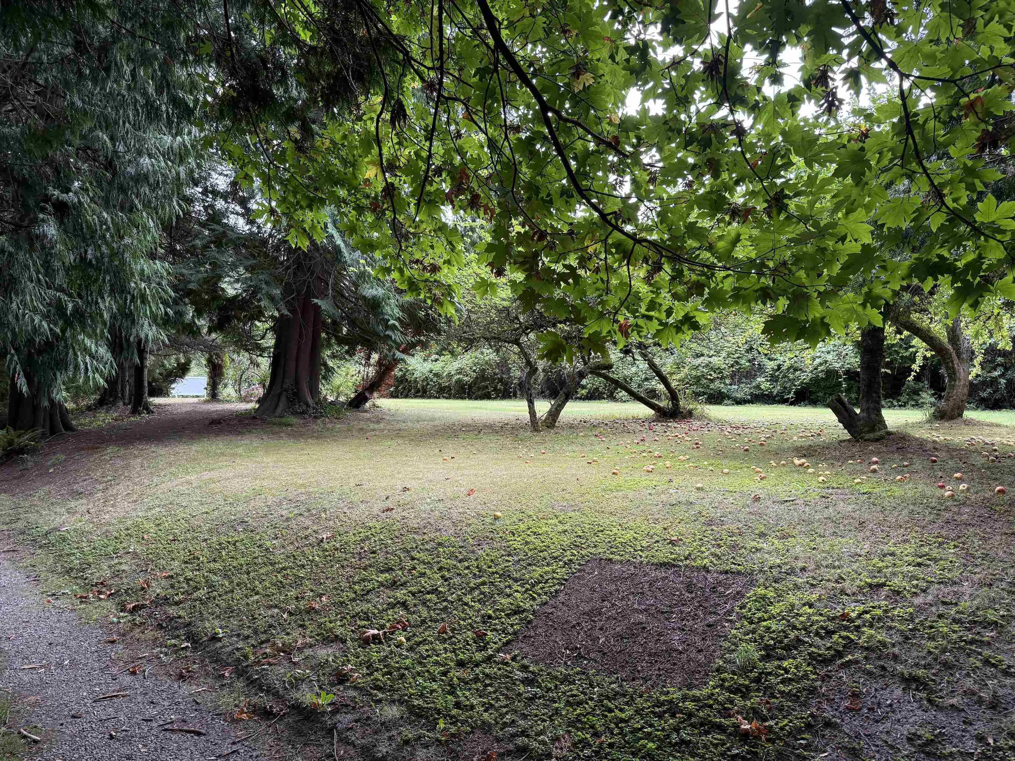 Property at 16203 8 AVENUE, Surrey, BC