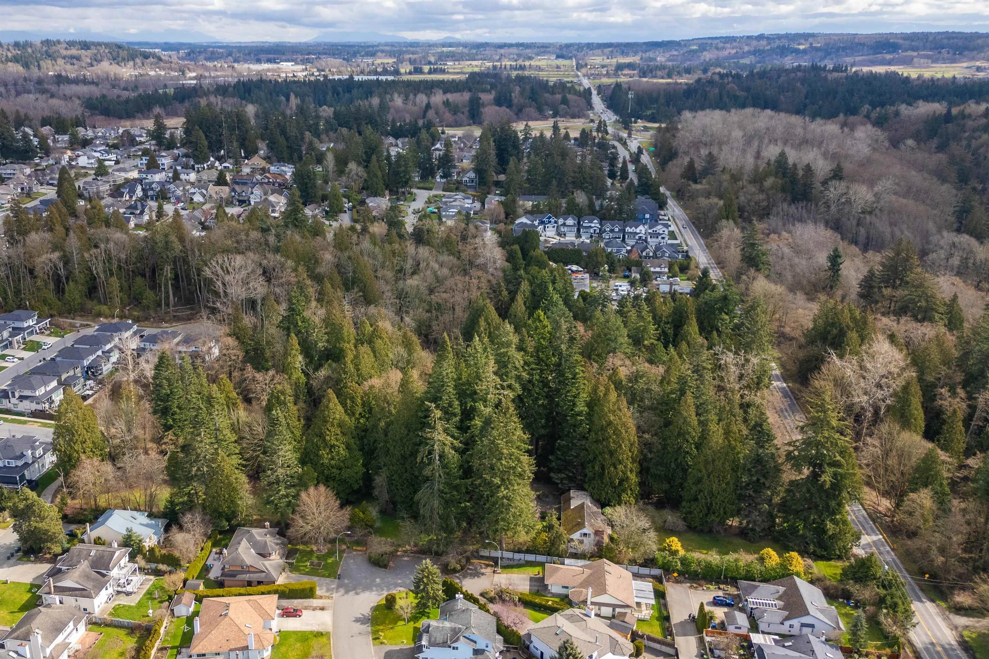 Property at 16203 8 AVENUE, Surrey, BC