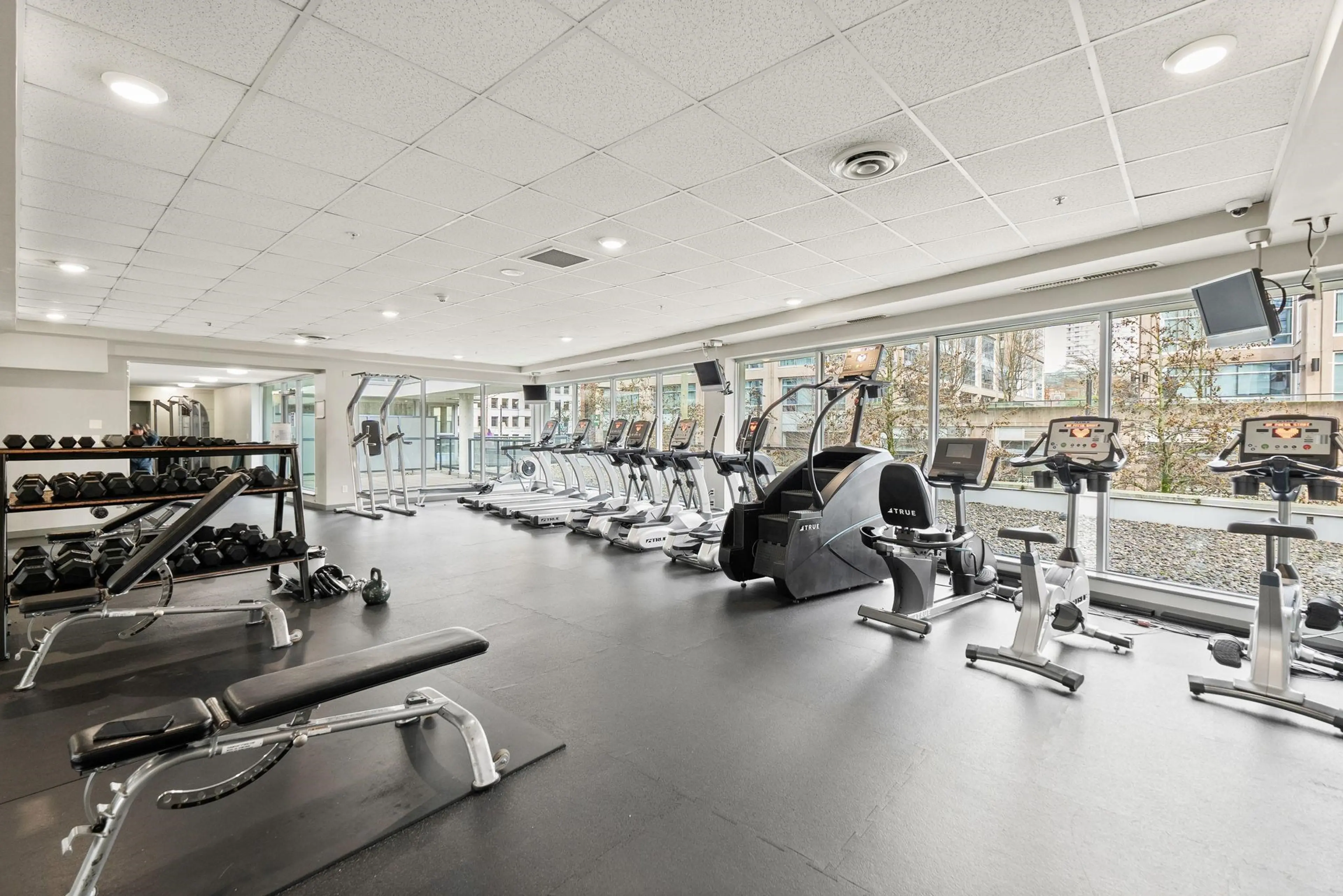 Property at #3705 928 BEATTY STREET, Vancouver, BC