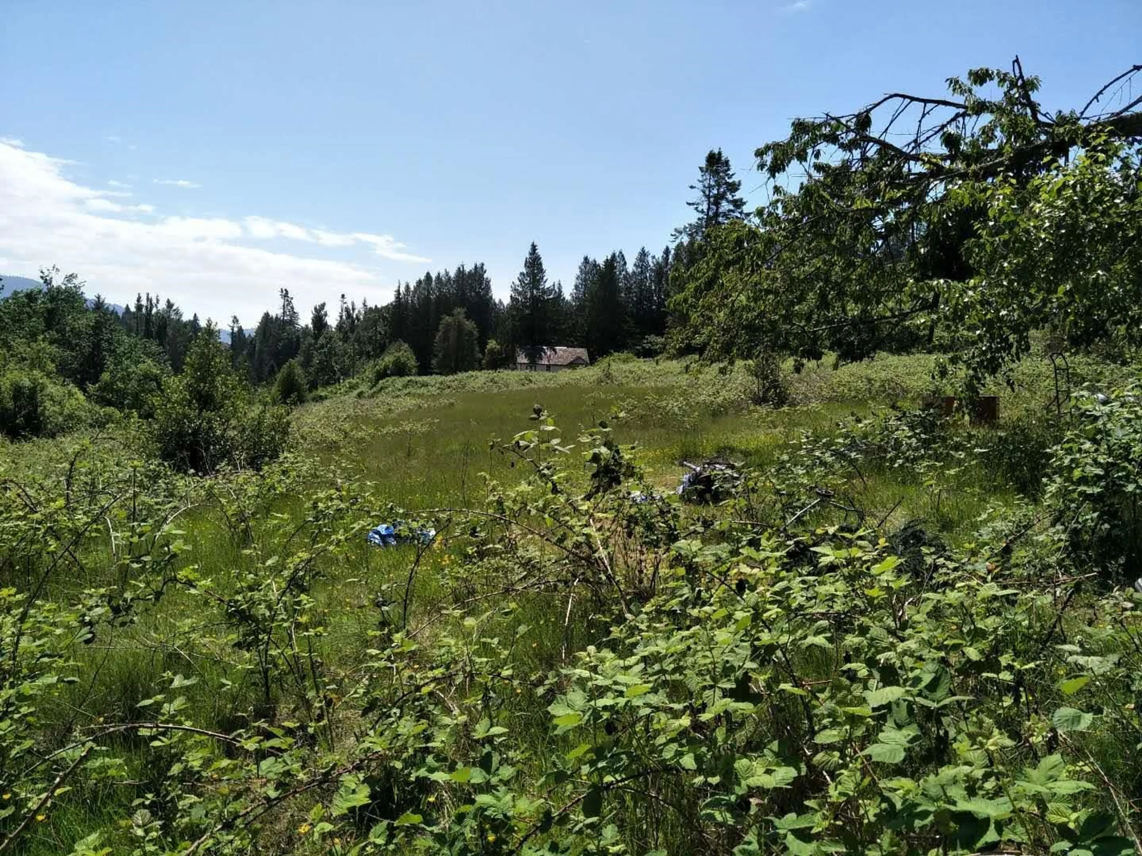 Property at 8980 EDWARDS STREET, Mission, BC