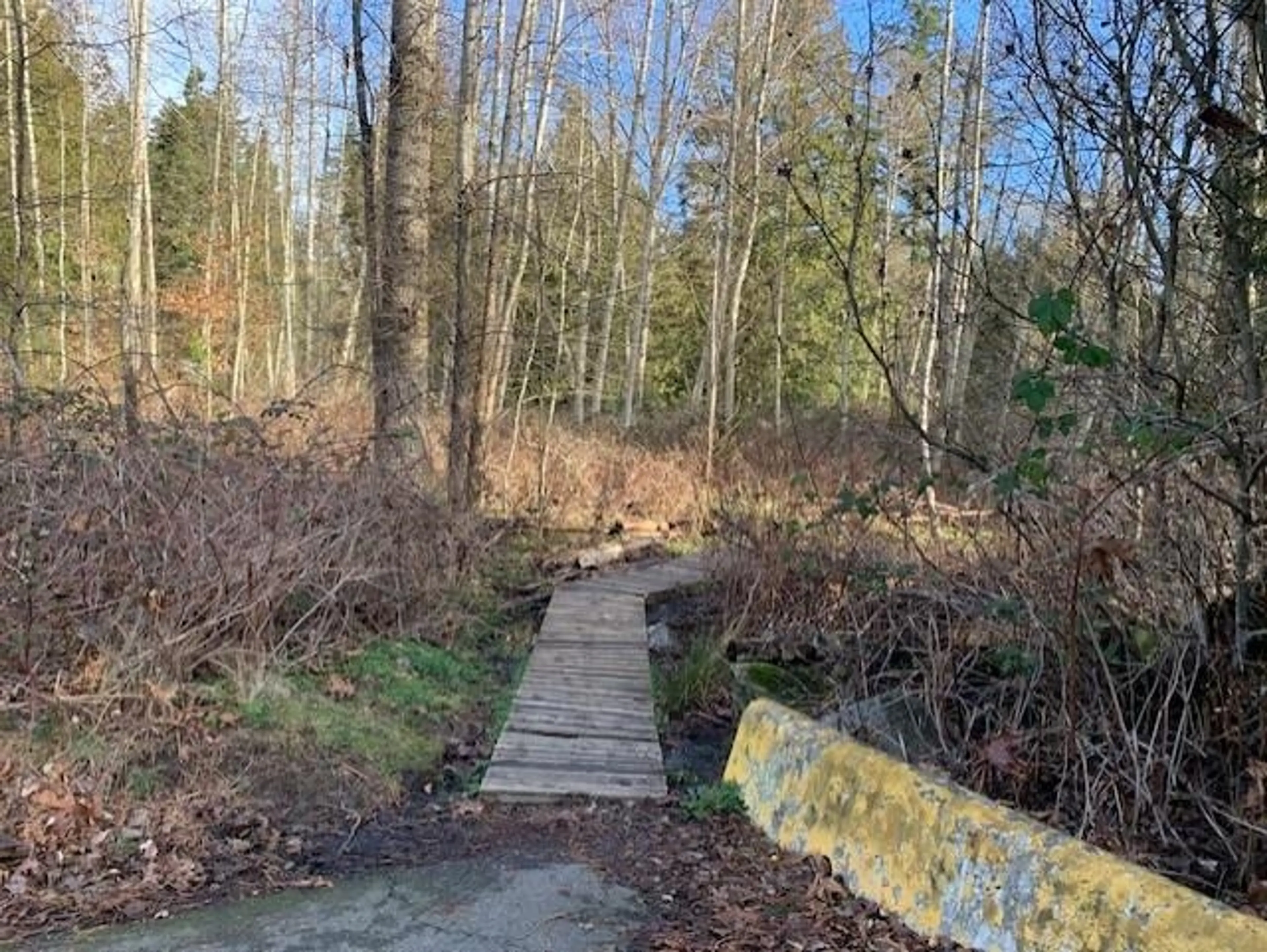 Property at 1695 136 STREET, Surrey, BC