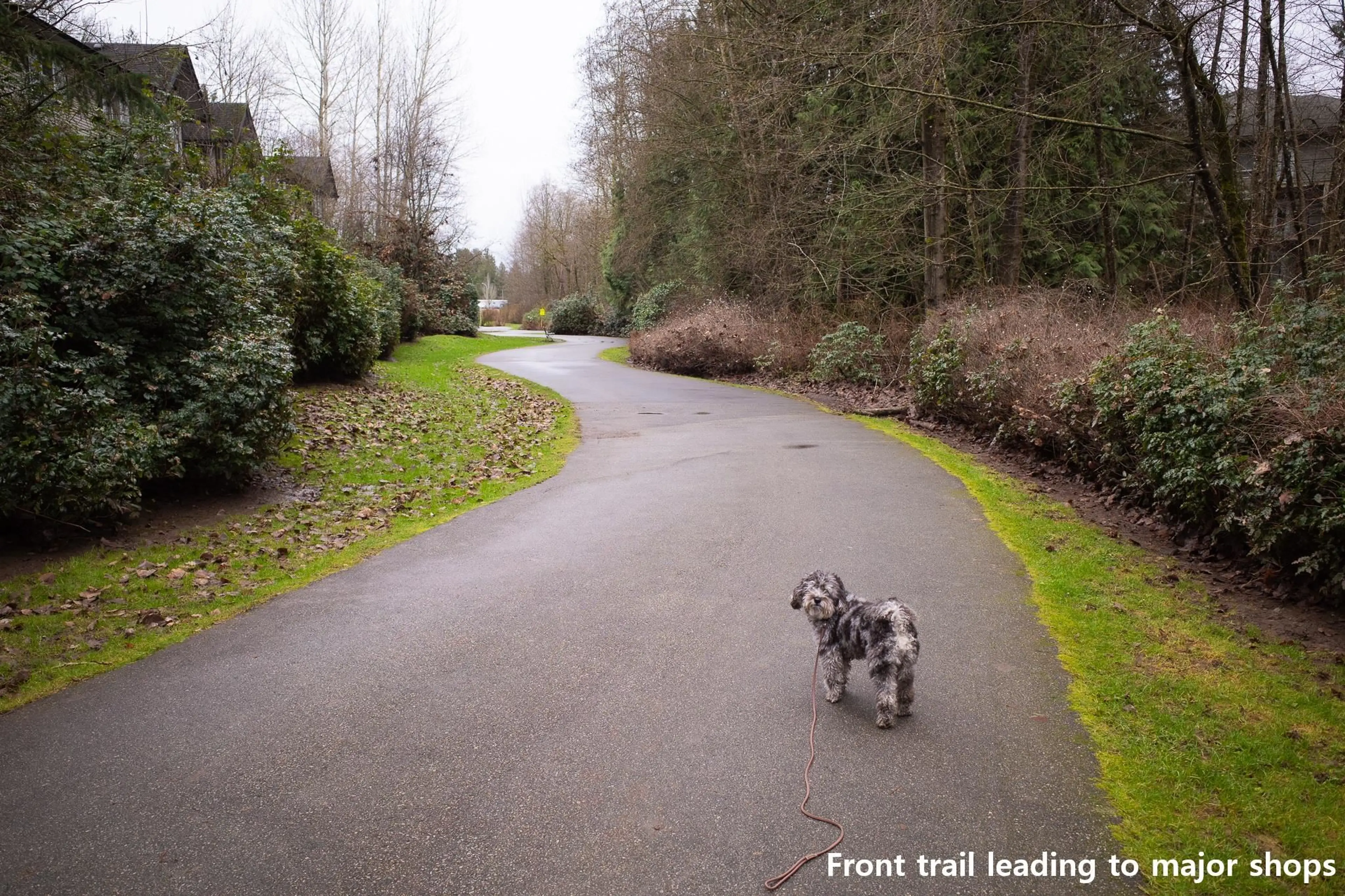 Property at #A200 20087 68 AVENUE, Langley, BC