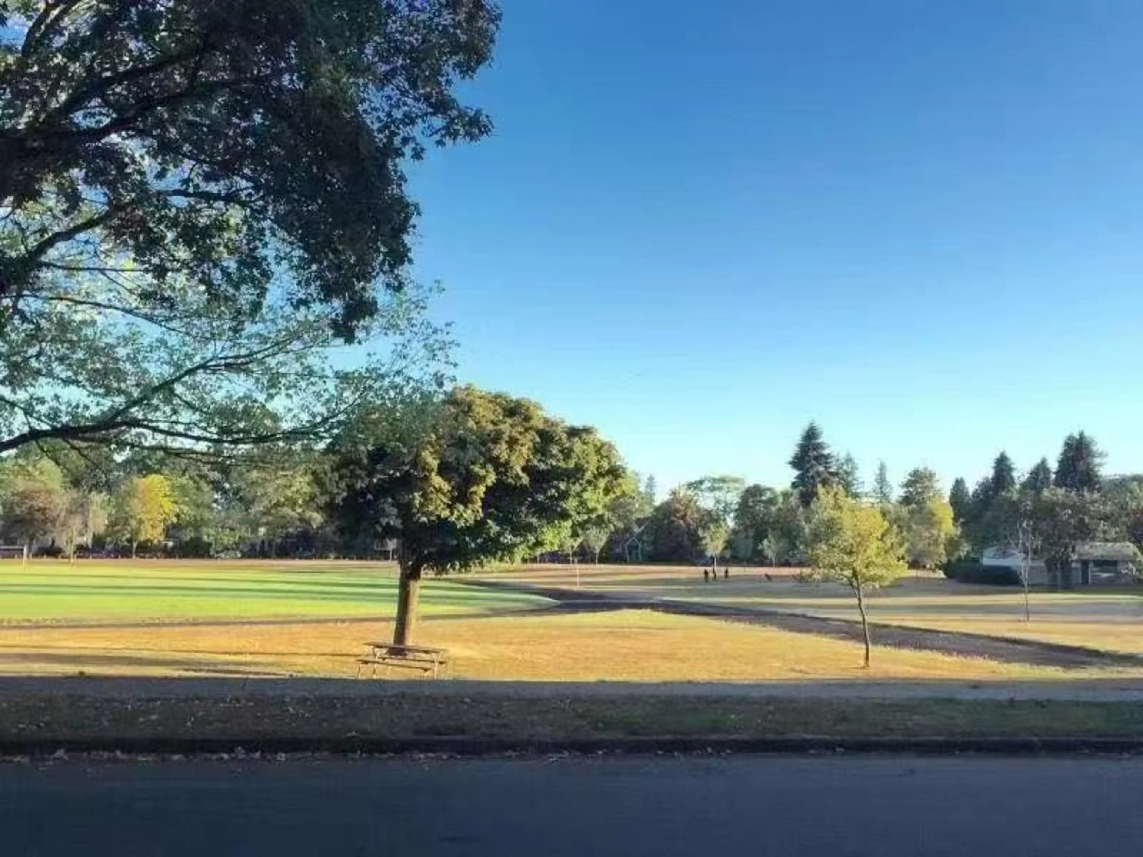 Property at 3093 W 29TH AVENUE, Vancouver, BC