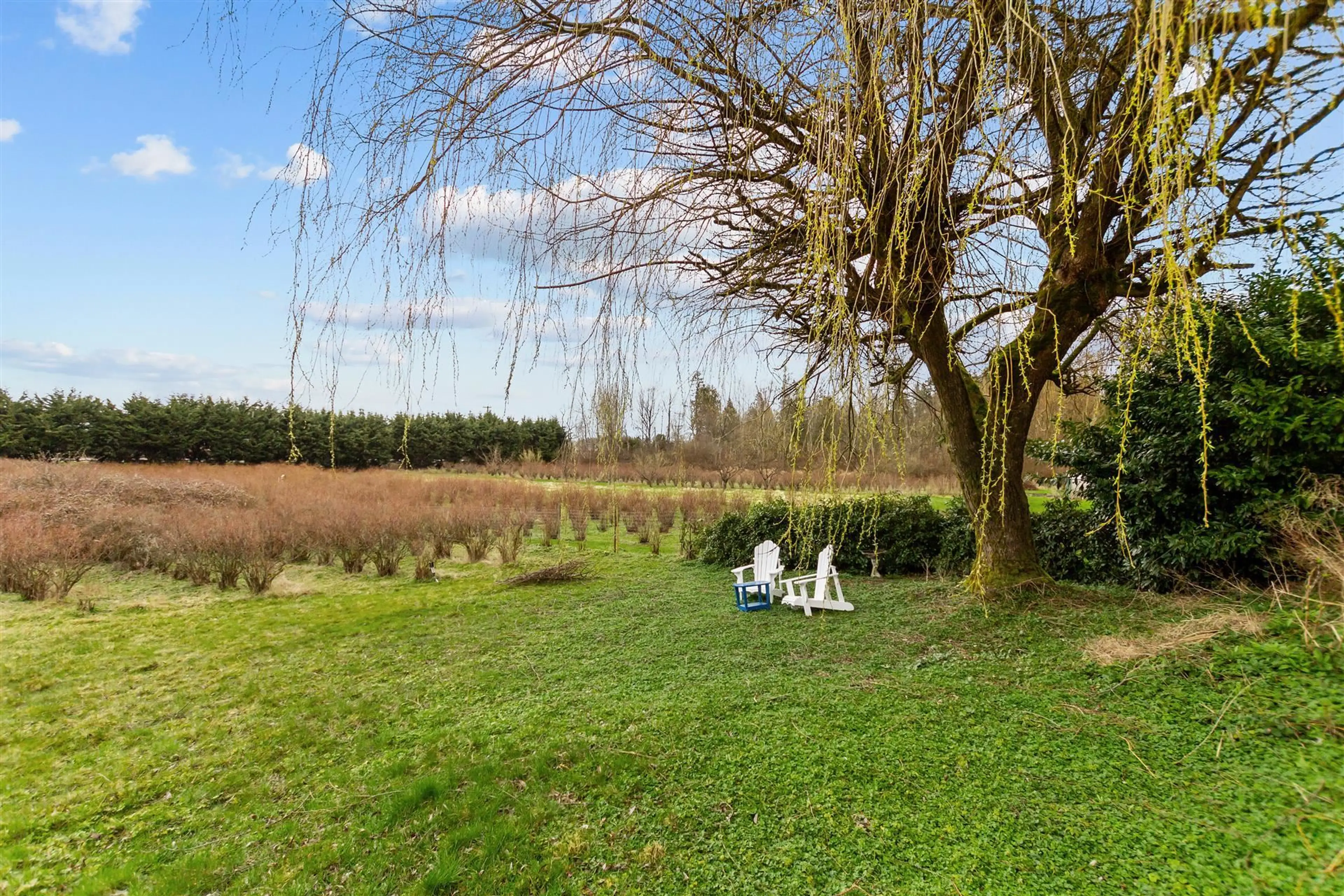 Property at 17325 31 AVENUE, Surrey, BC