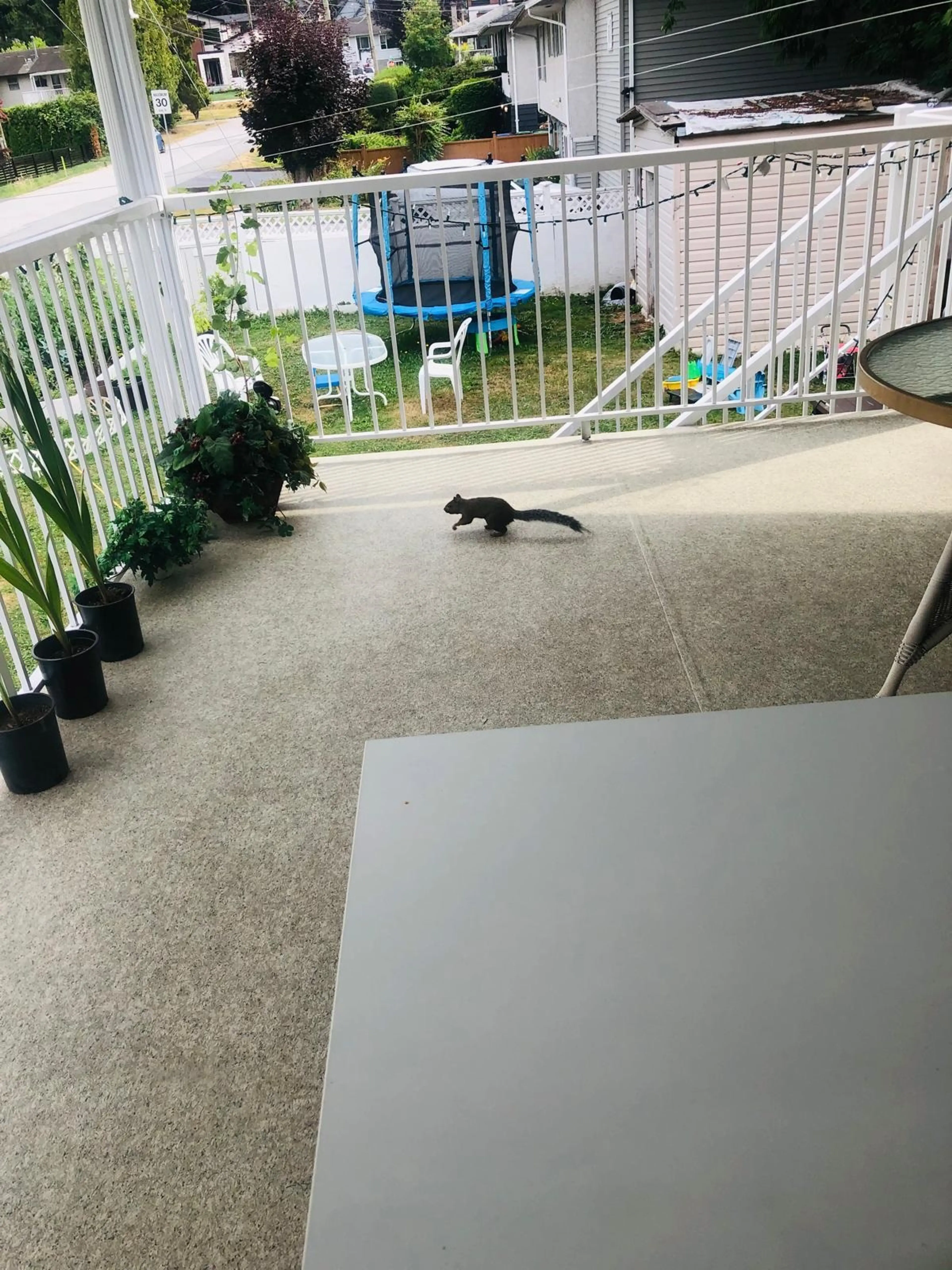 Property at 12472 100 AVENUE, Surrey, BC