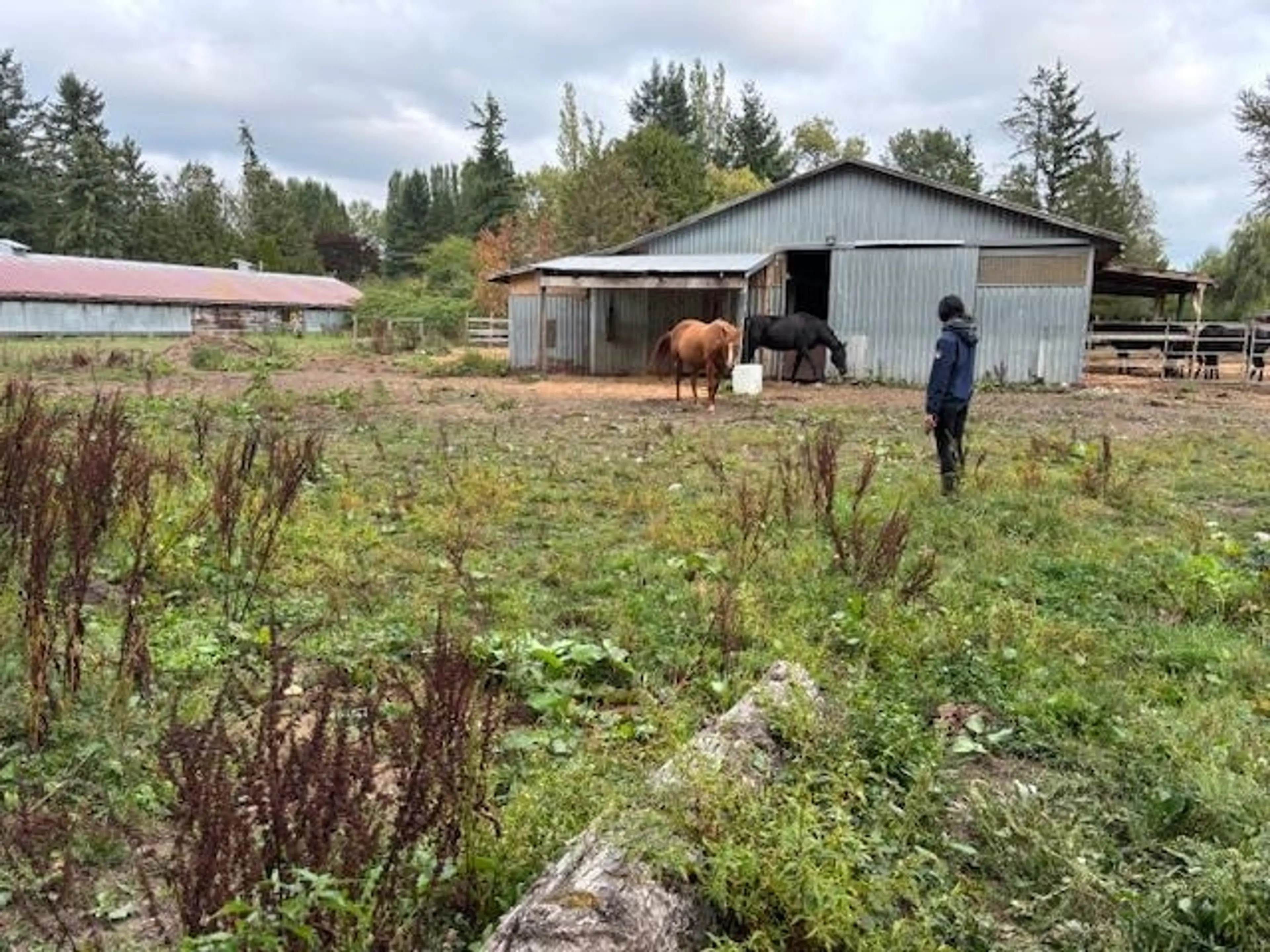 Property at 2617 208 STREET, Langley, BC