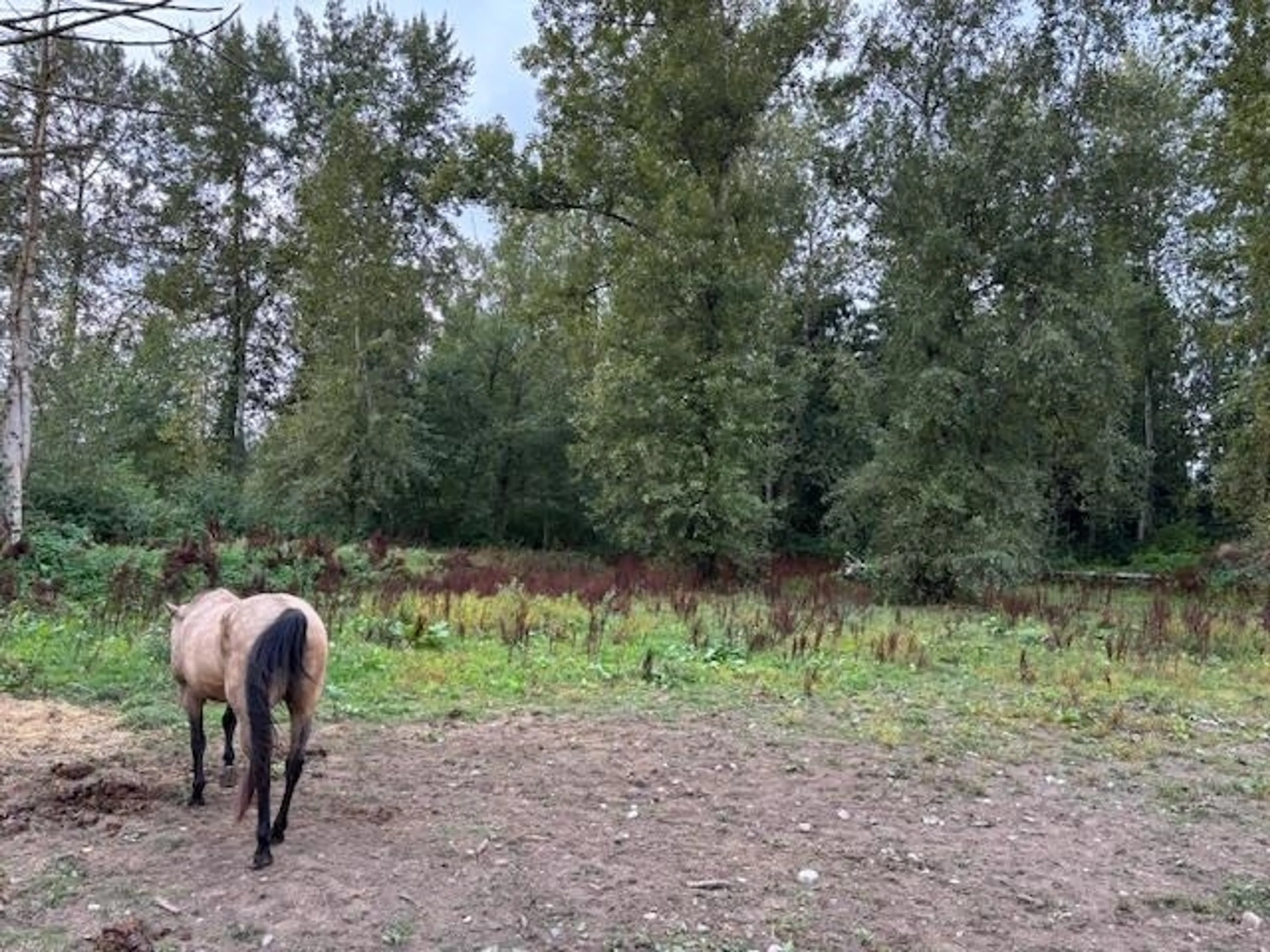 Property at 2617 208 STREET, Langley, BC