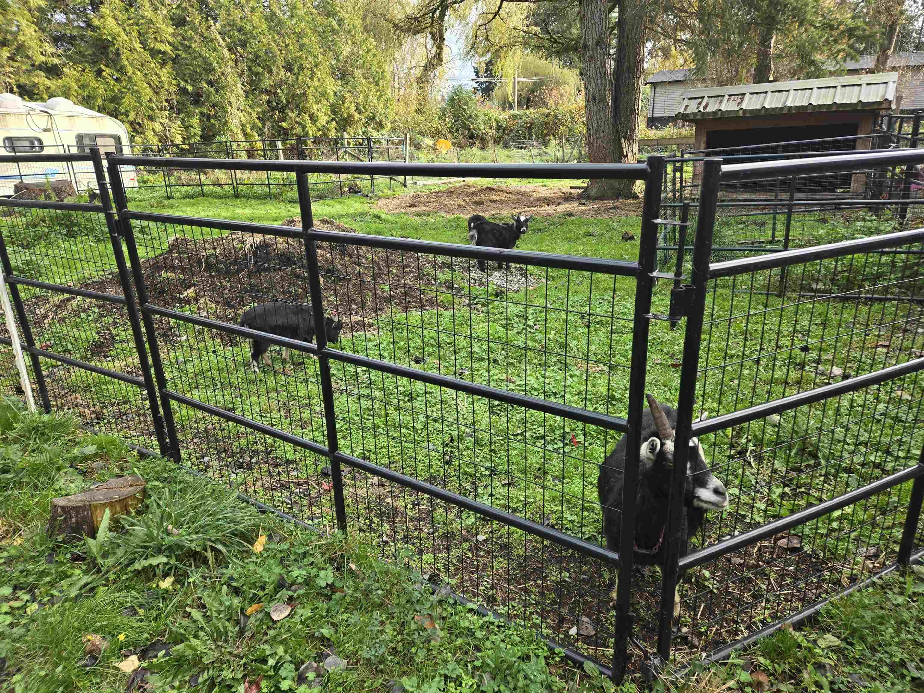 Property at 2617 208 STREET, Langley, BC